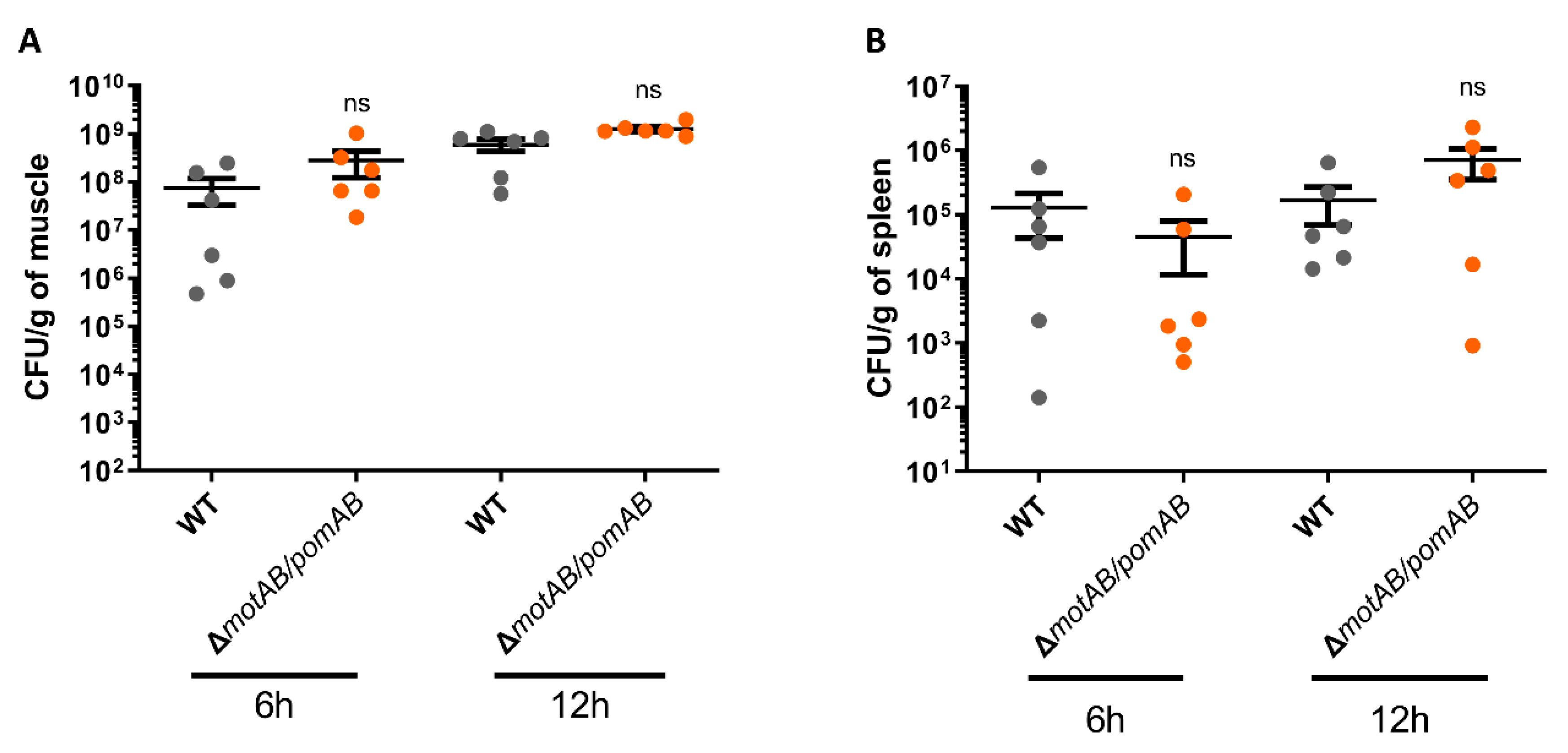 Microorganisms 09 00010 g004 Microorganisms 09 00010 g004