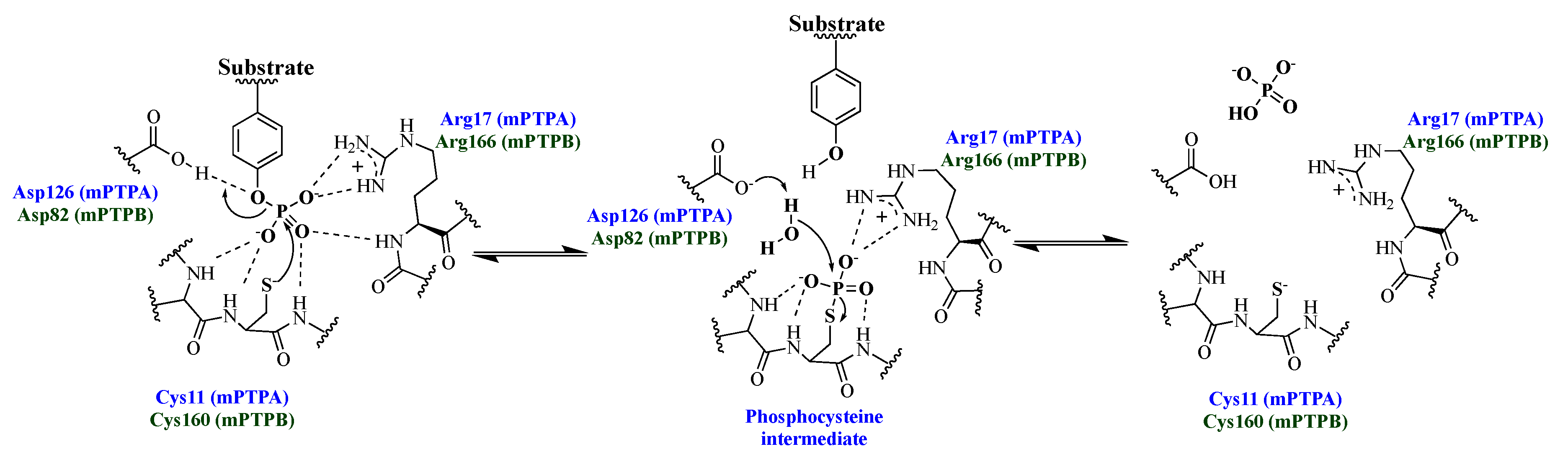 Microorganisms 09 00014 g001 Microorganisms 09 00014 g001