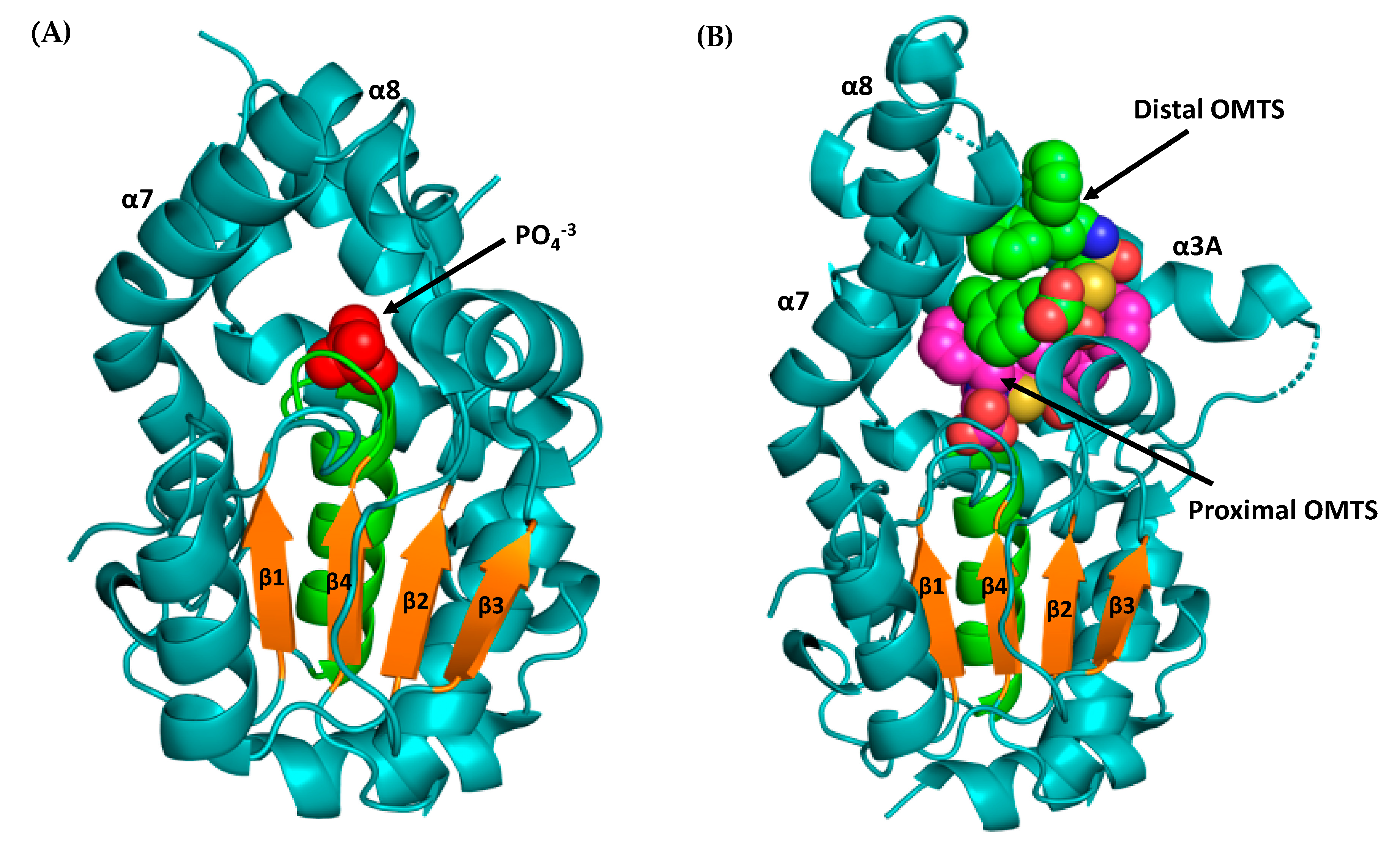 Microorganisms 09 00014 g004 Microorganisms 09 00014 g004