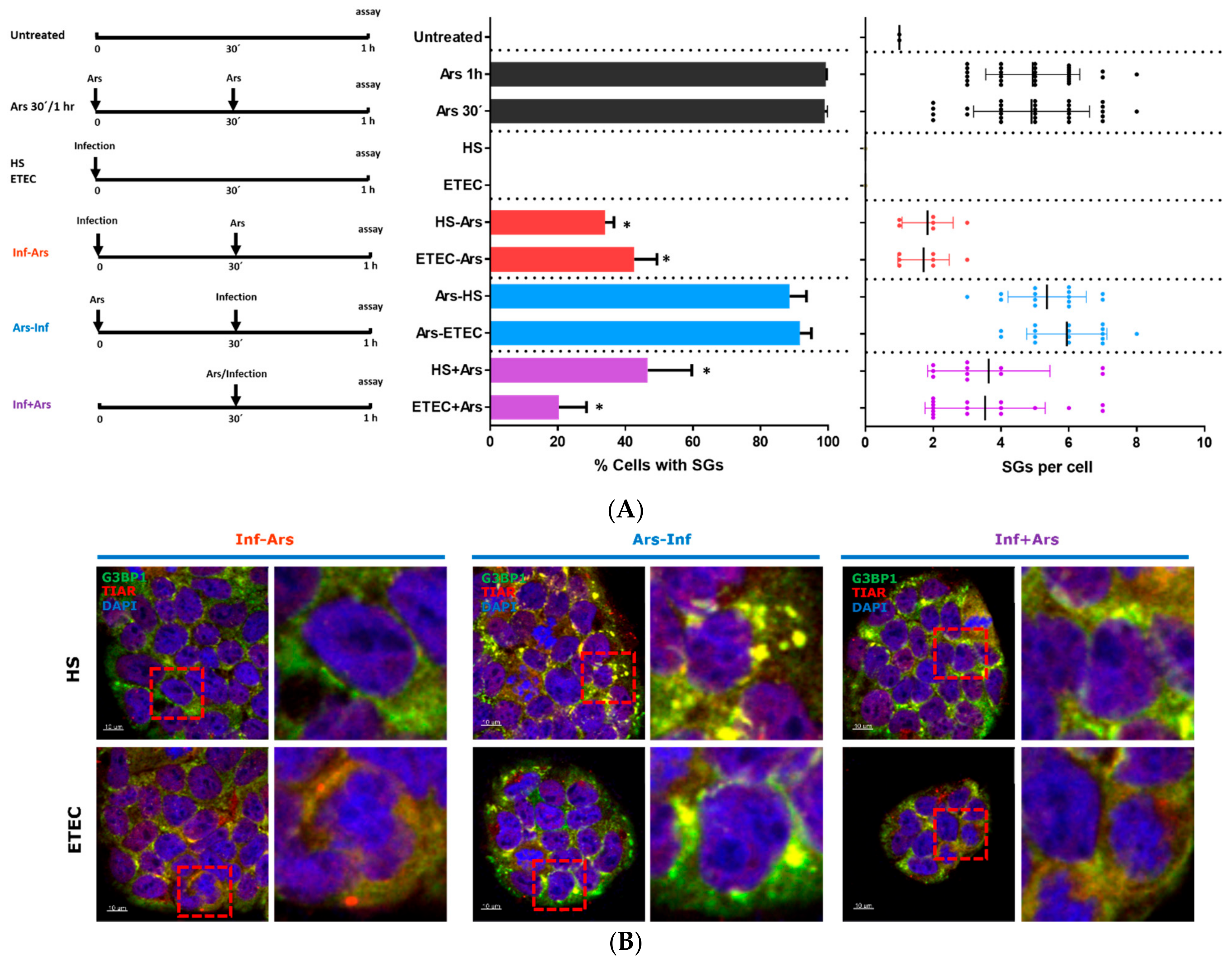 Microorganisms 09 00017 g002a Microorganisms 09 00017 g002a