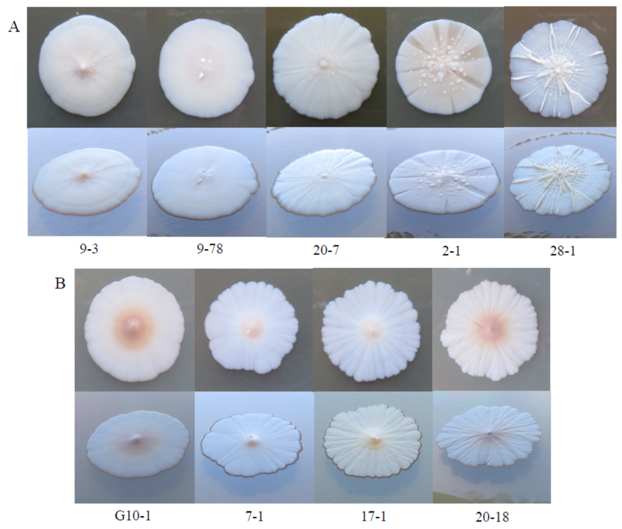 Microorganisms 09 00019 g004 Microorganisms 09 00019 g004