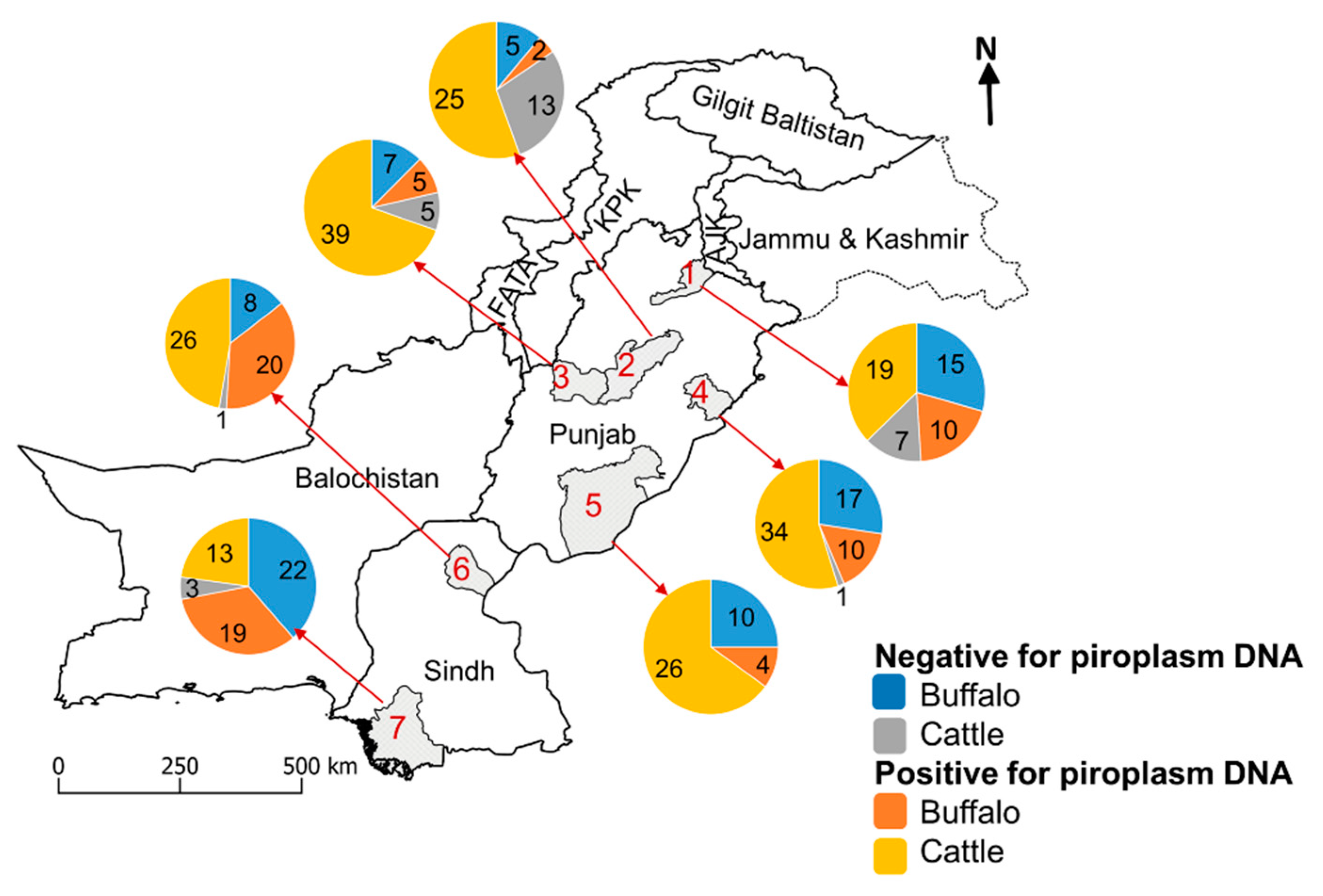 Microorganisms 09 00021 g001 Microorganisms 09 00021 g001