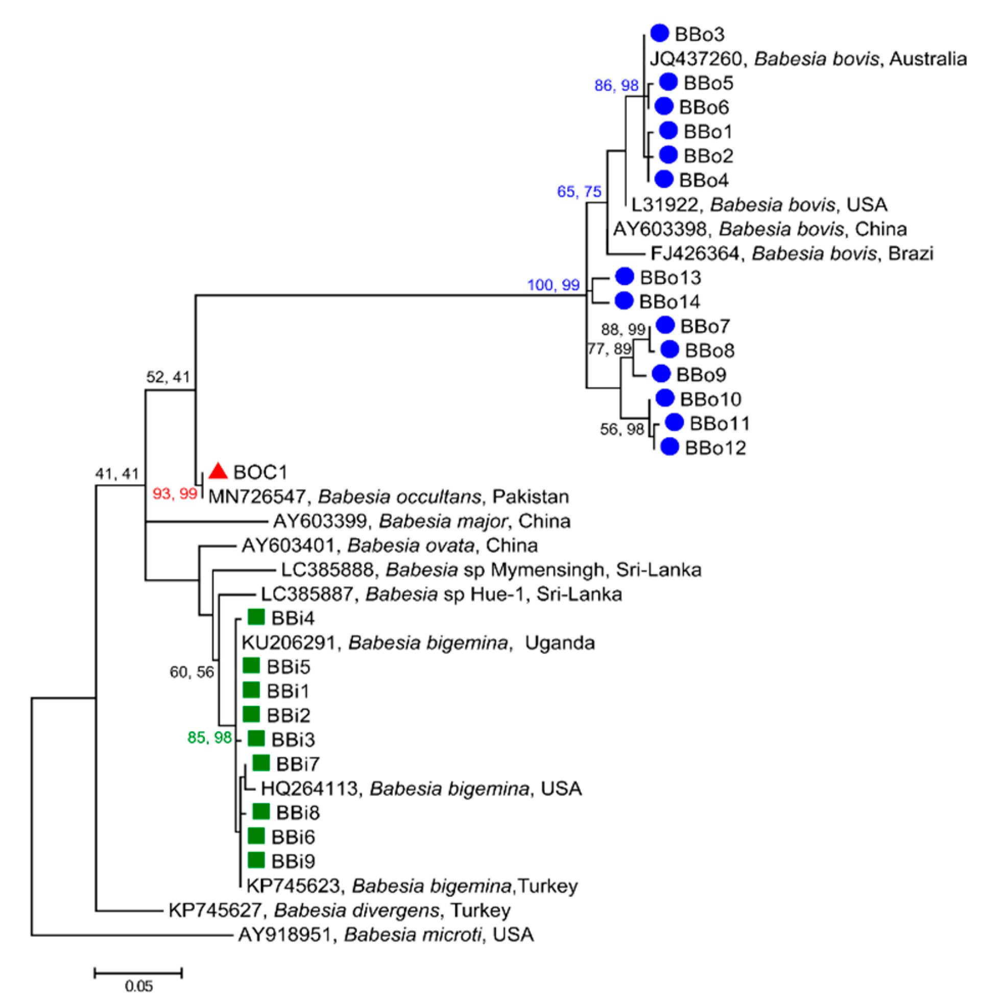 Microorganisms 09 00021 g002 Microorganisms 09 00021 g002
