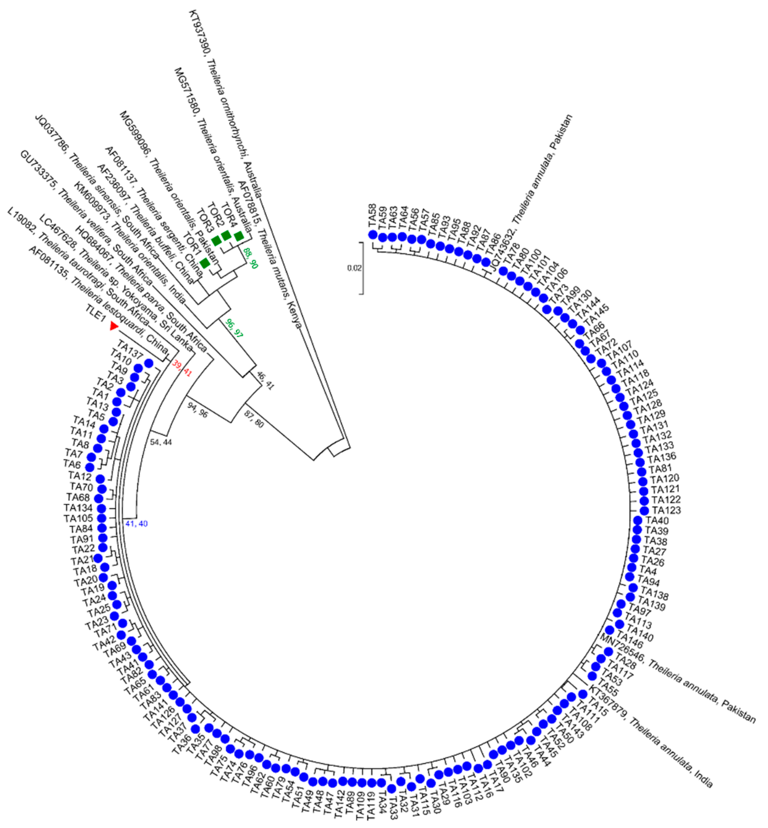 Microorganisms 09 00021 g003 Microorganisms 09 00021 g003