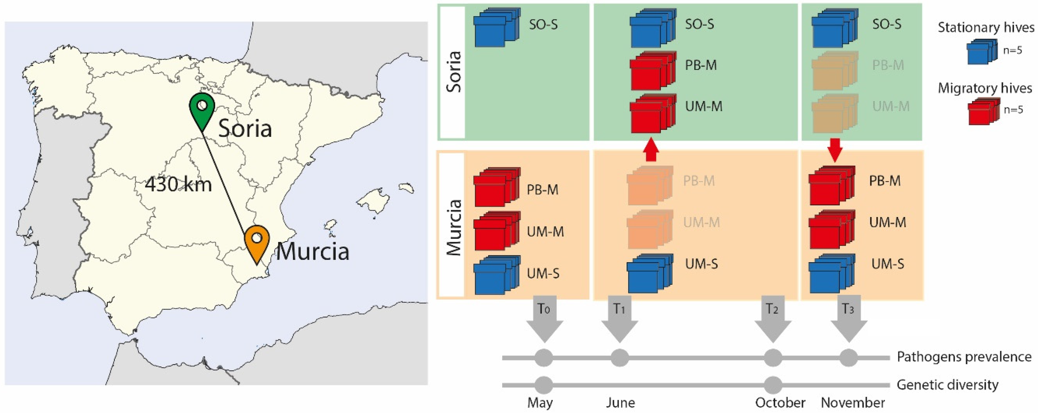 Microorganisms 09 00022 g001