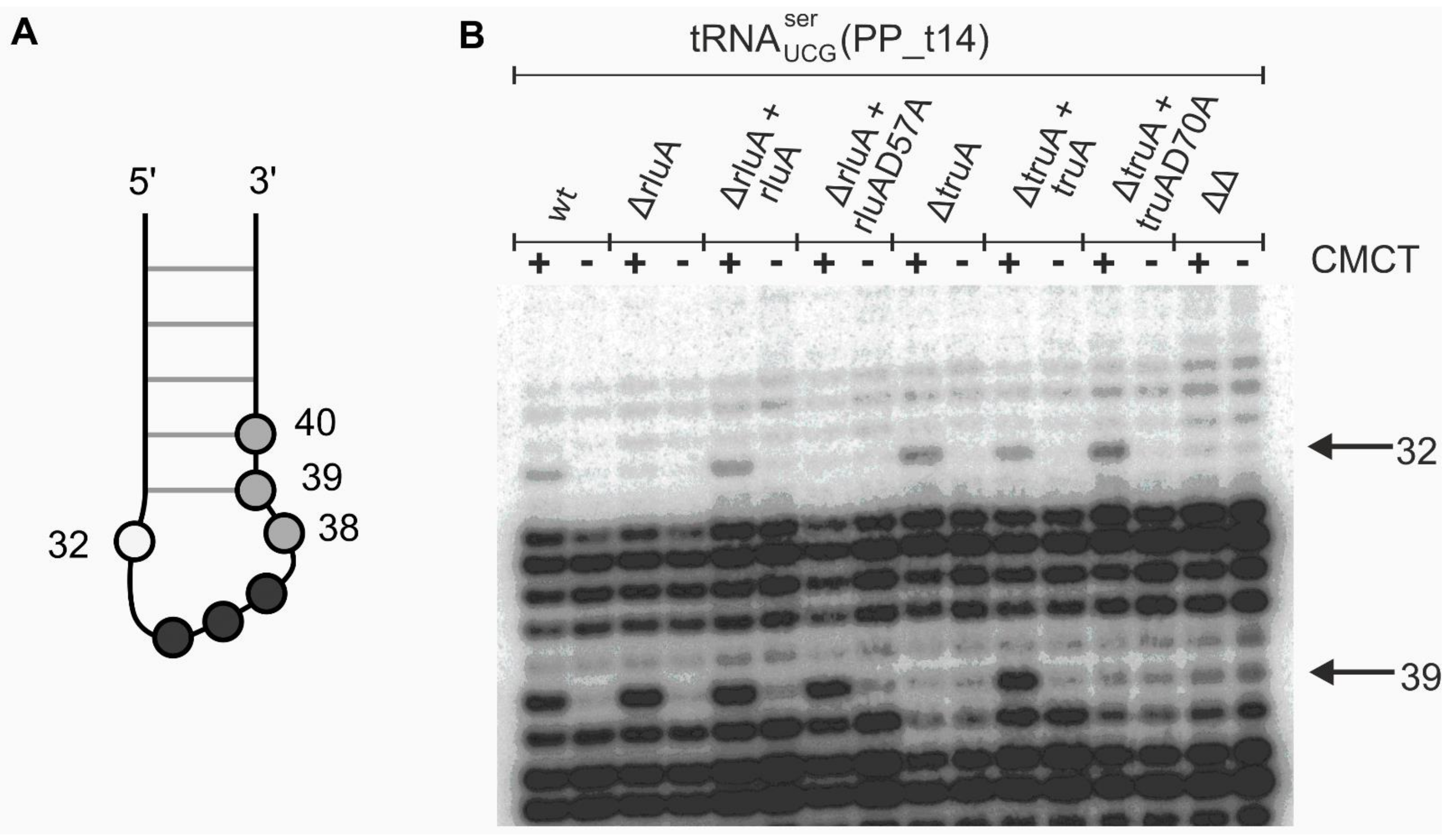 Microorganisms 09 00025 g001 Microorganisms 09 00025 g001