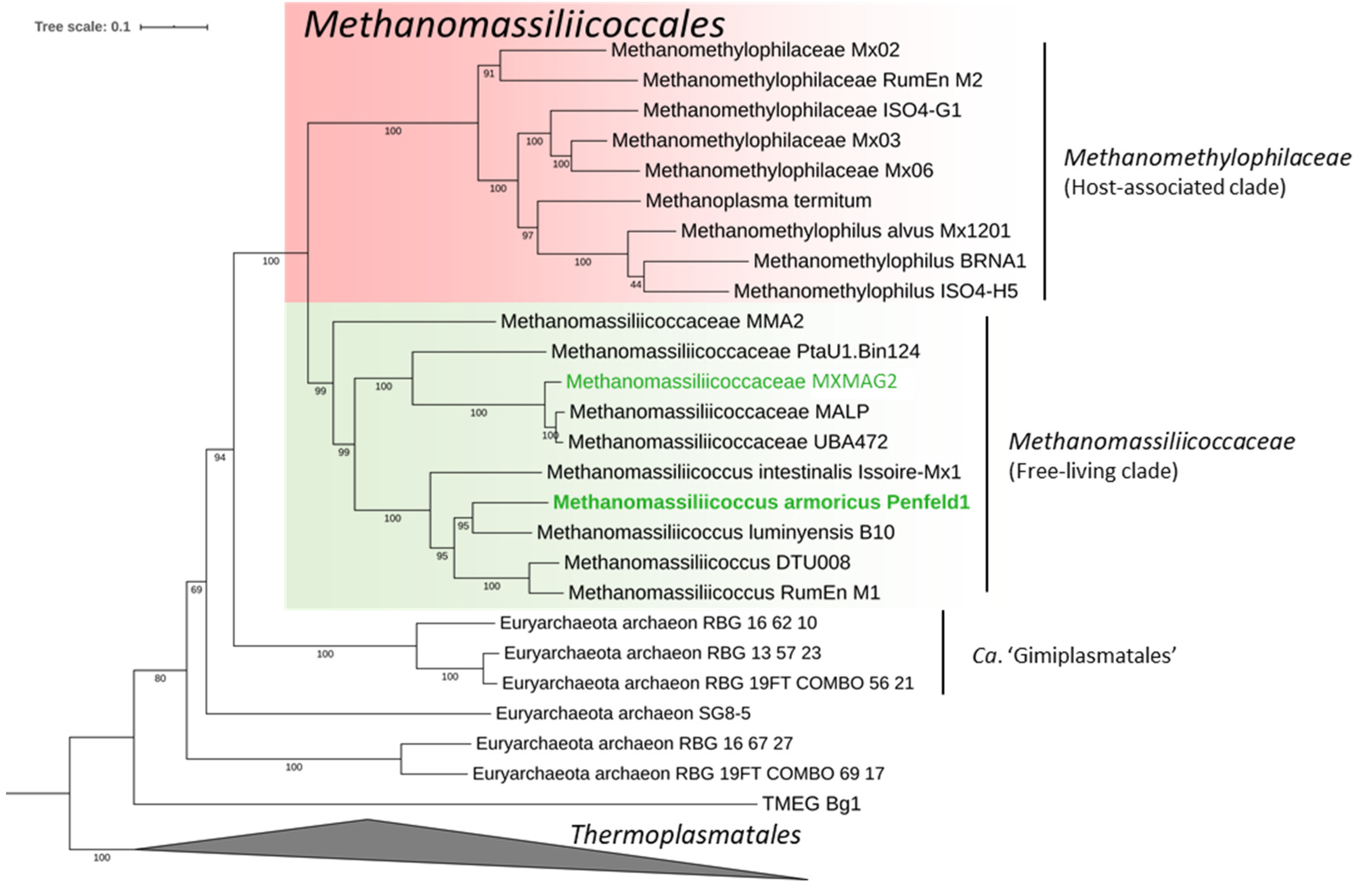Microorganisms 09 00030 g004