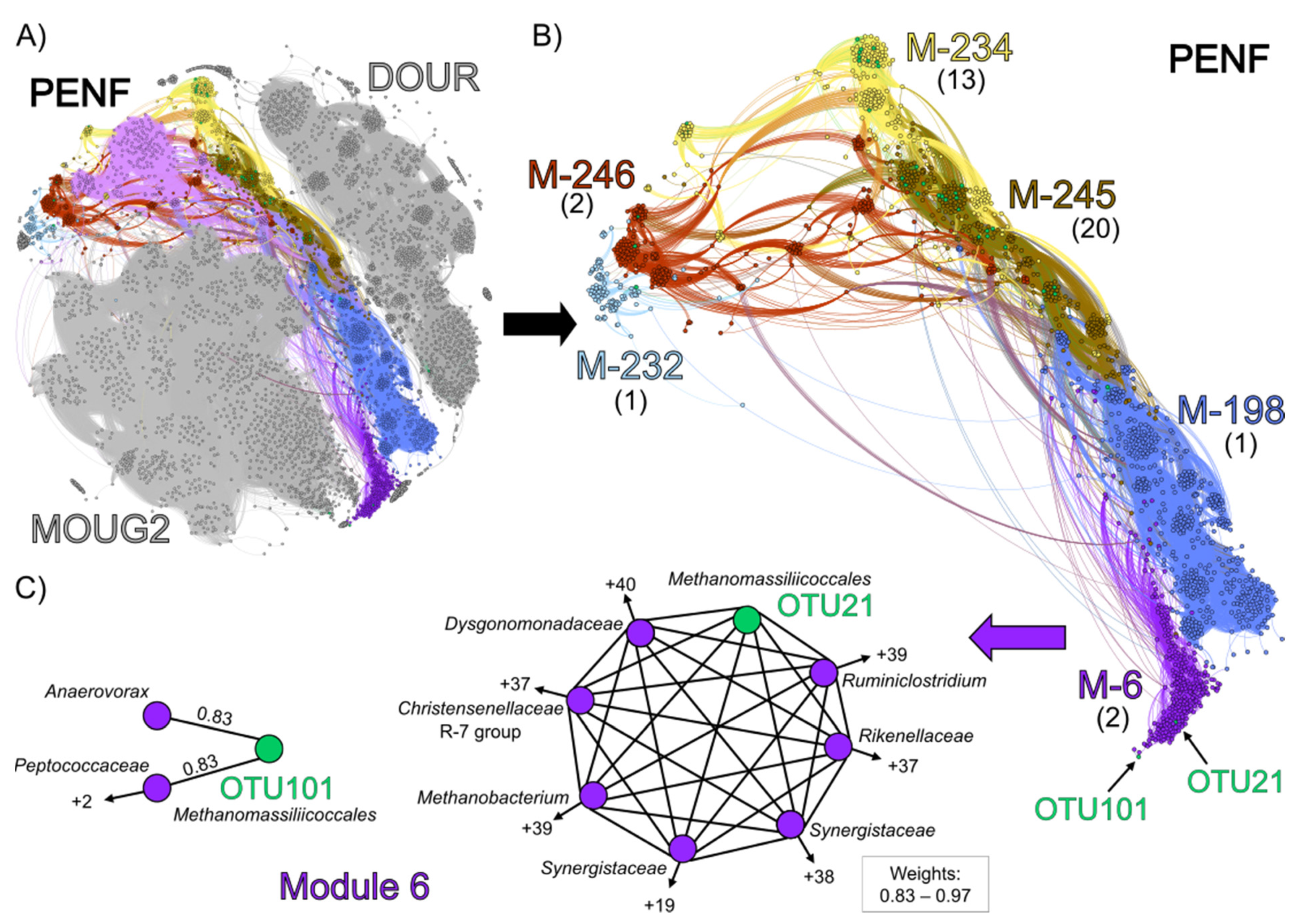 Microorganisms 09 00030 g006