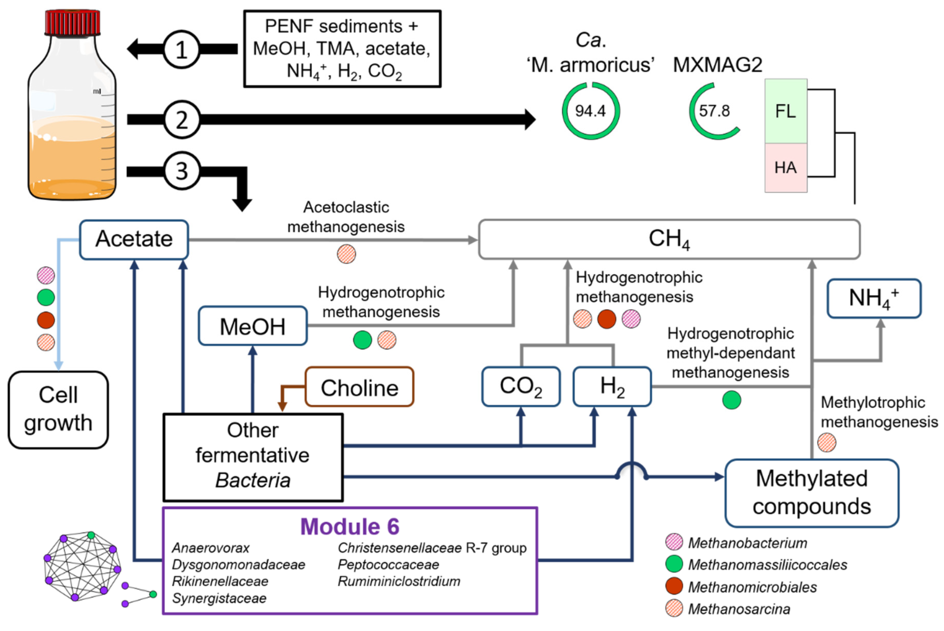 Microorganisms 09 00030 g007