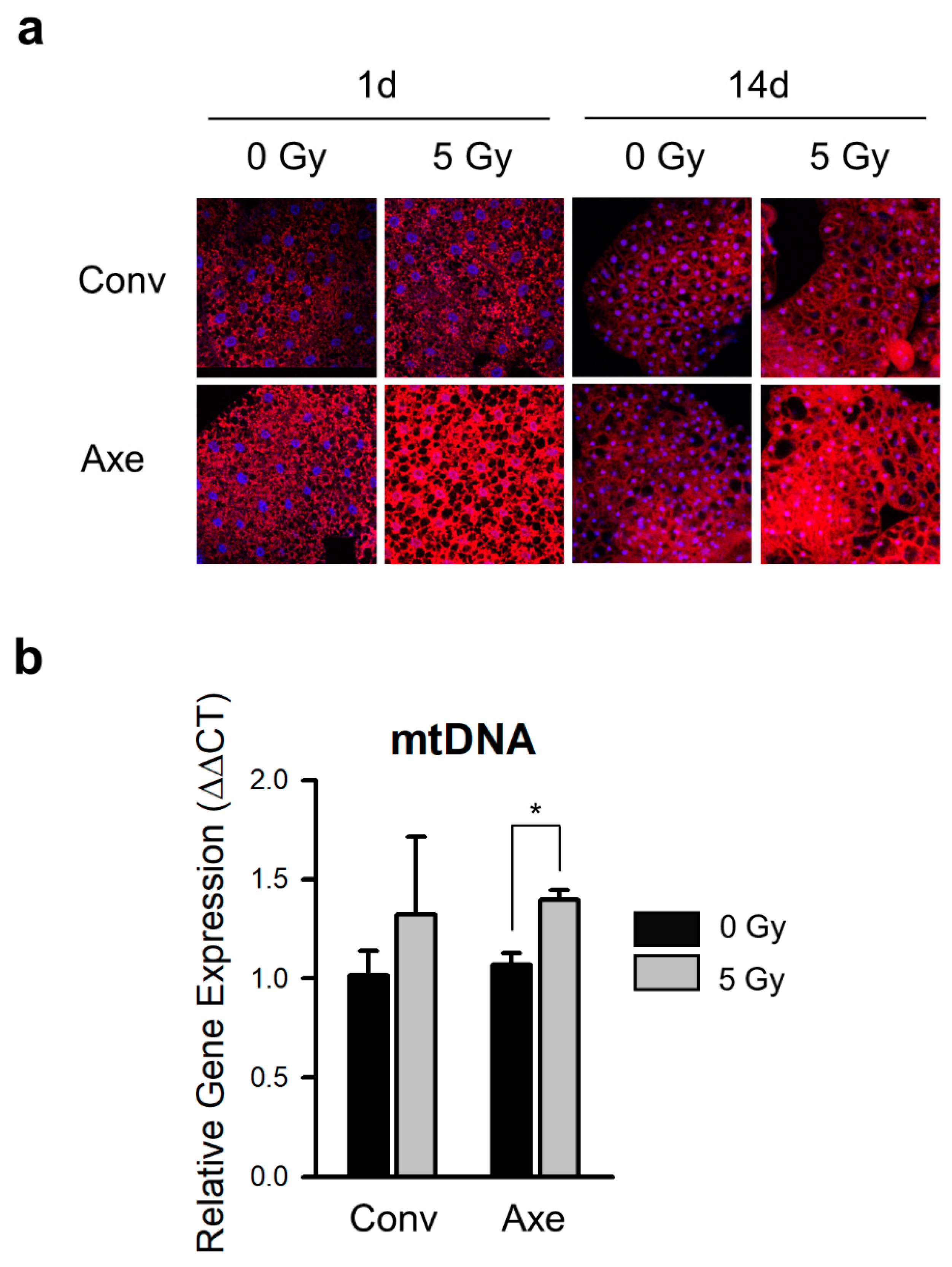 Microorganisms 09 00031 g006 Microorganisms 09 00031 g006