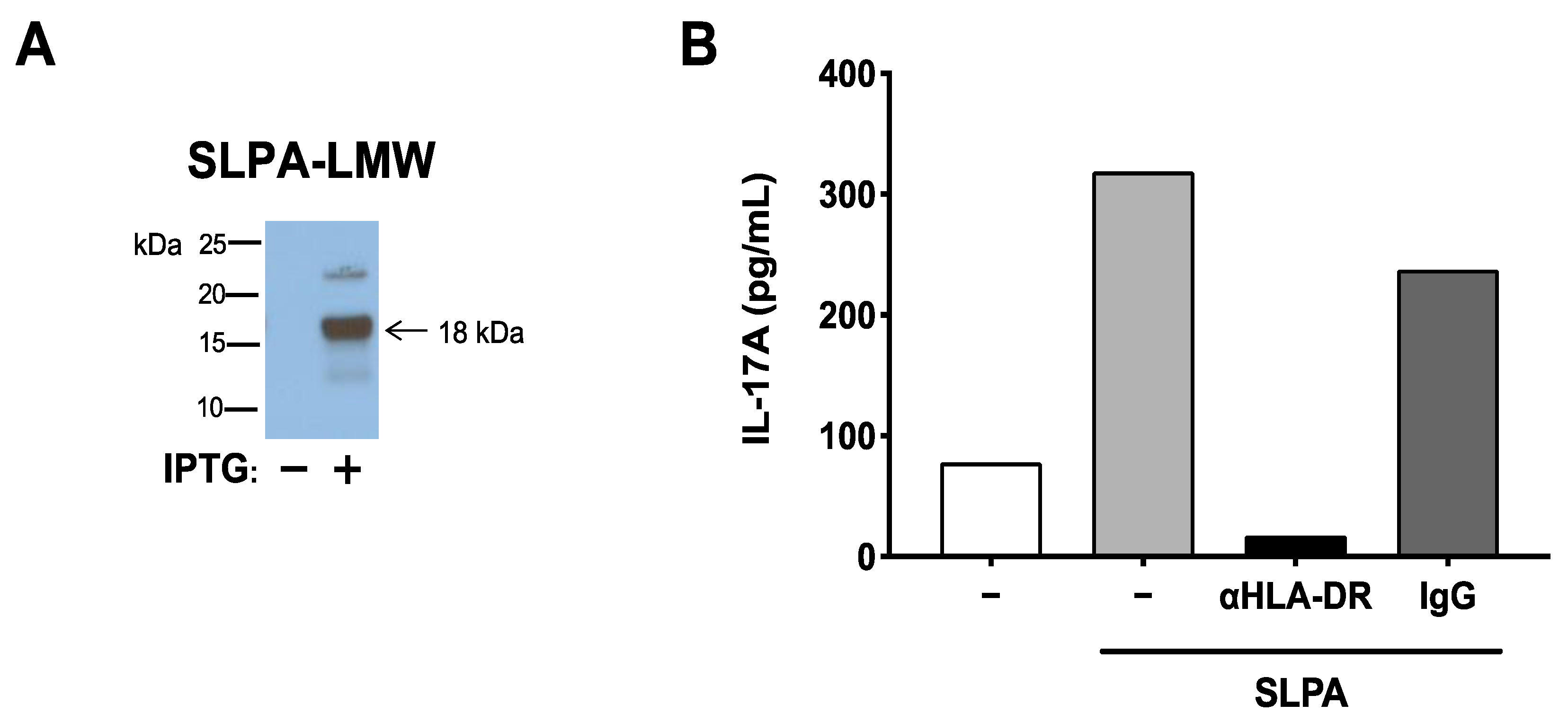 Microorganisms 09 00034 g003 Microorganisms 09 00034 g003