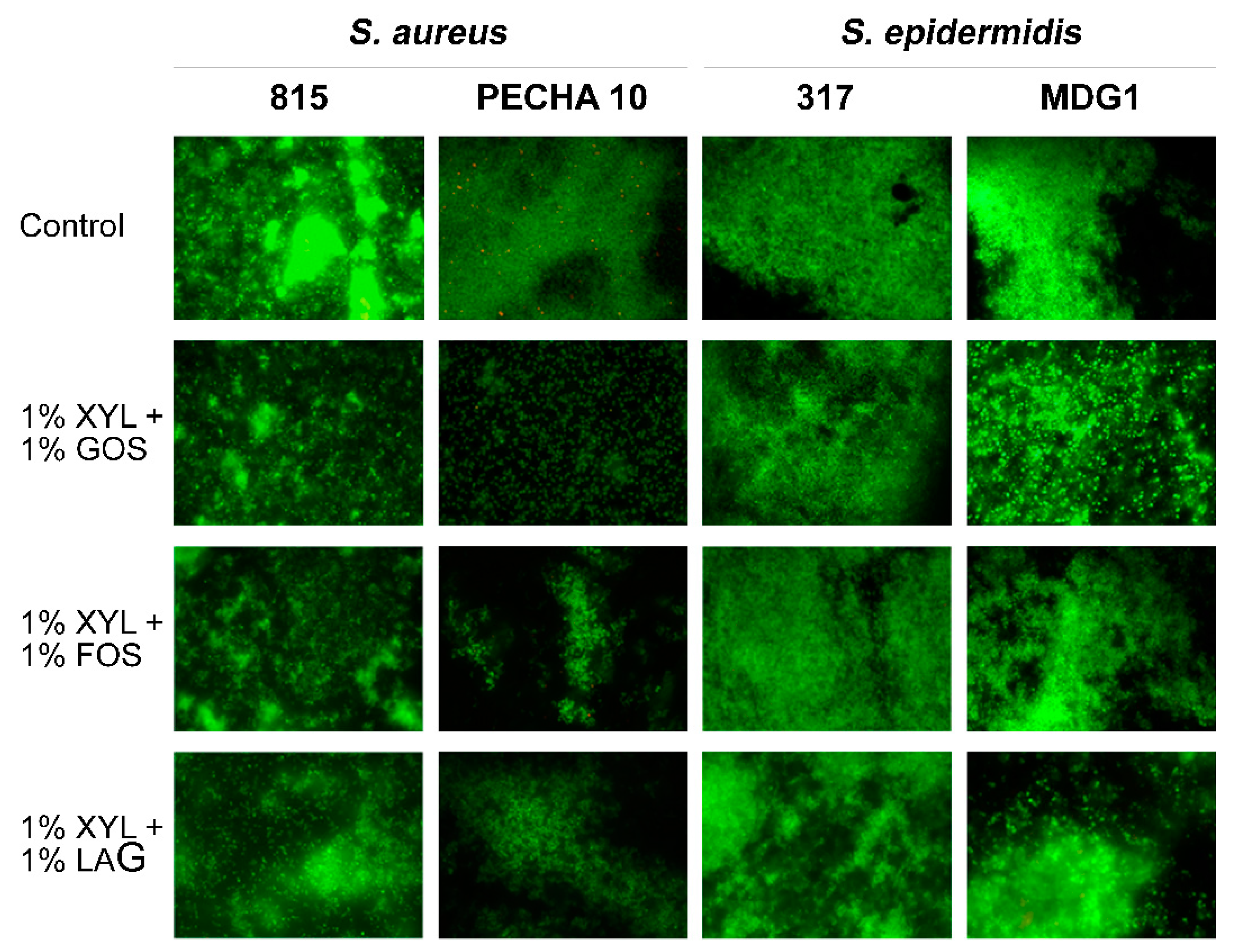 Microorganisms 09 00037 g005