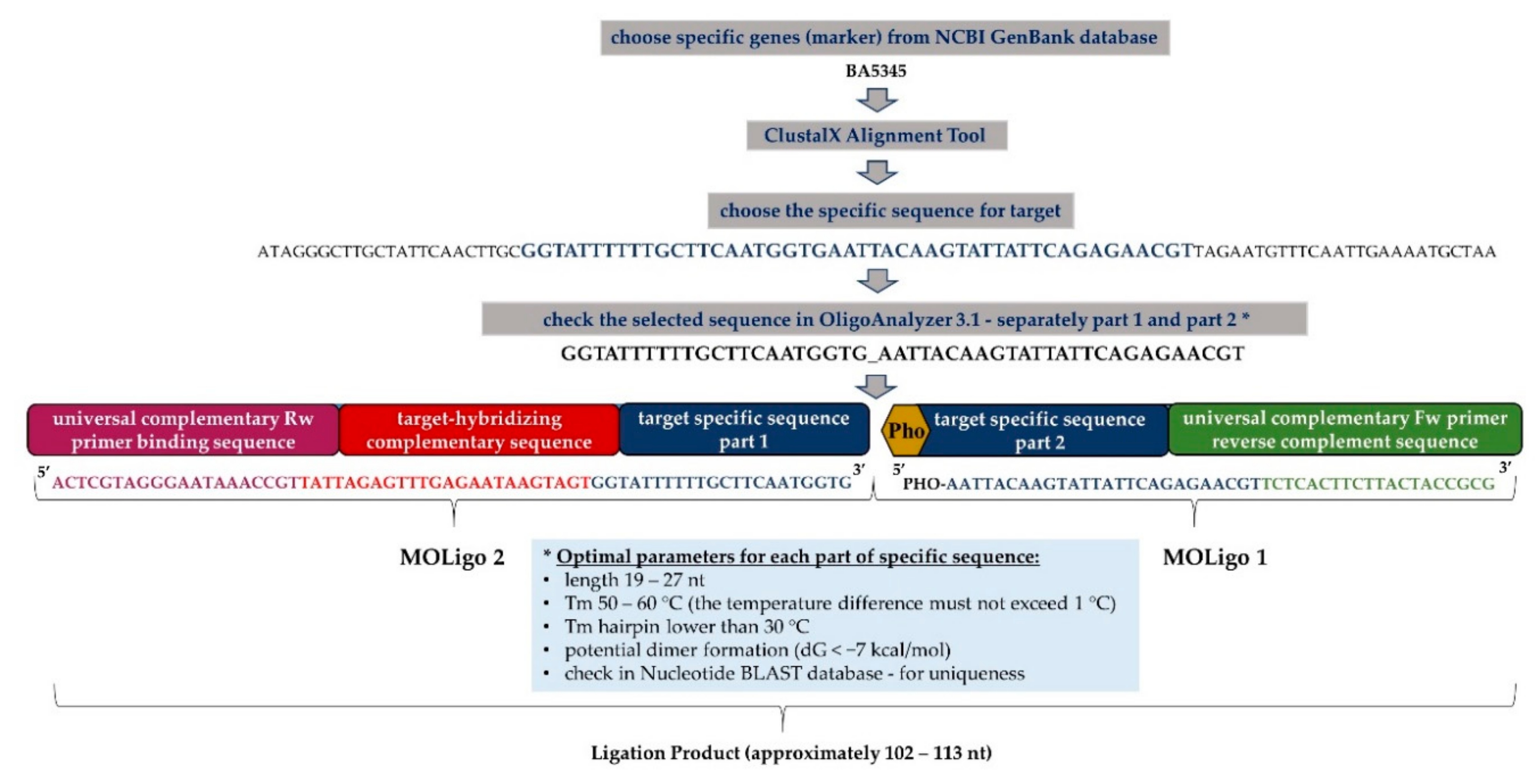 Microorganisms 09 00038 g001 Microorganisms 09 00038 g001