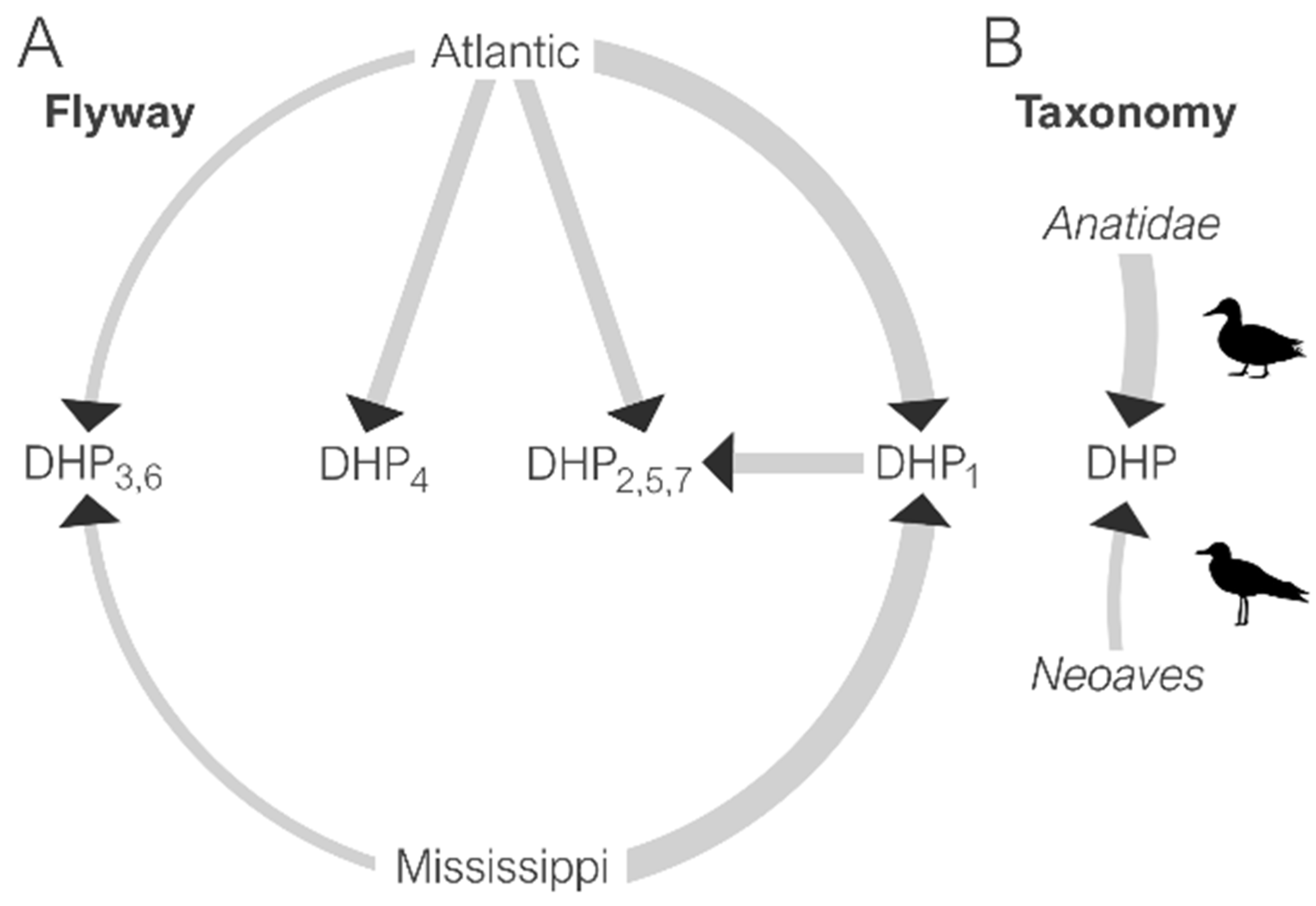 Microorganisms 09 00040 g005
