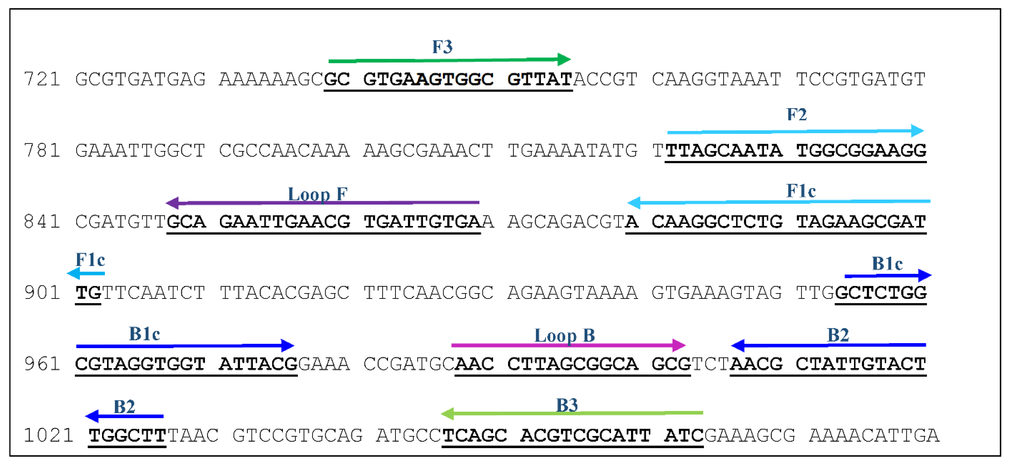 Microorganisms 09 00041 g001 Microorganisms 09 00041 g001