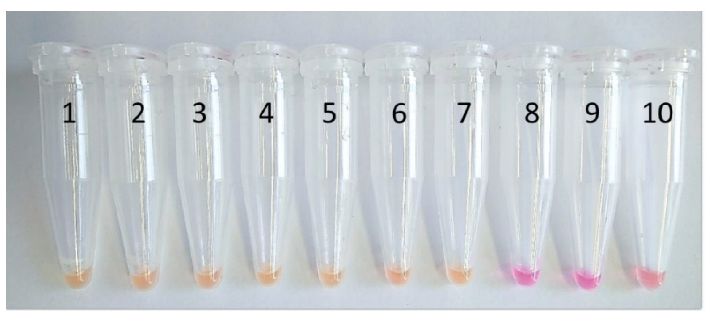 Microorganisms 09 00041 g003 Microorganisms 09 00041 g003