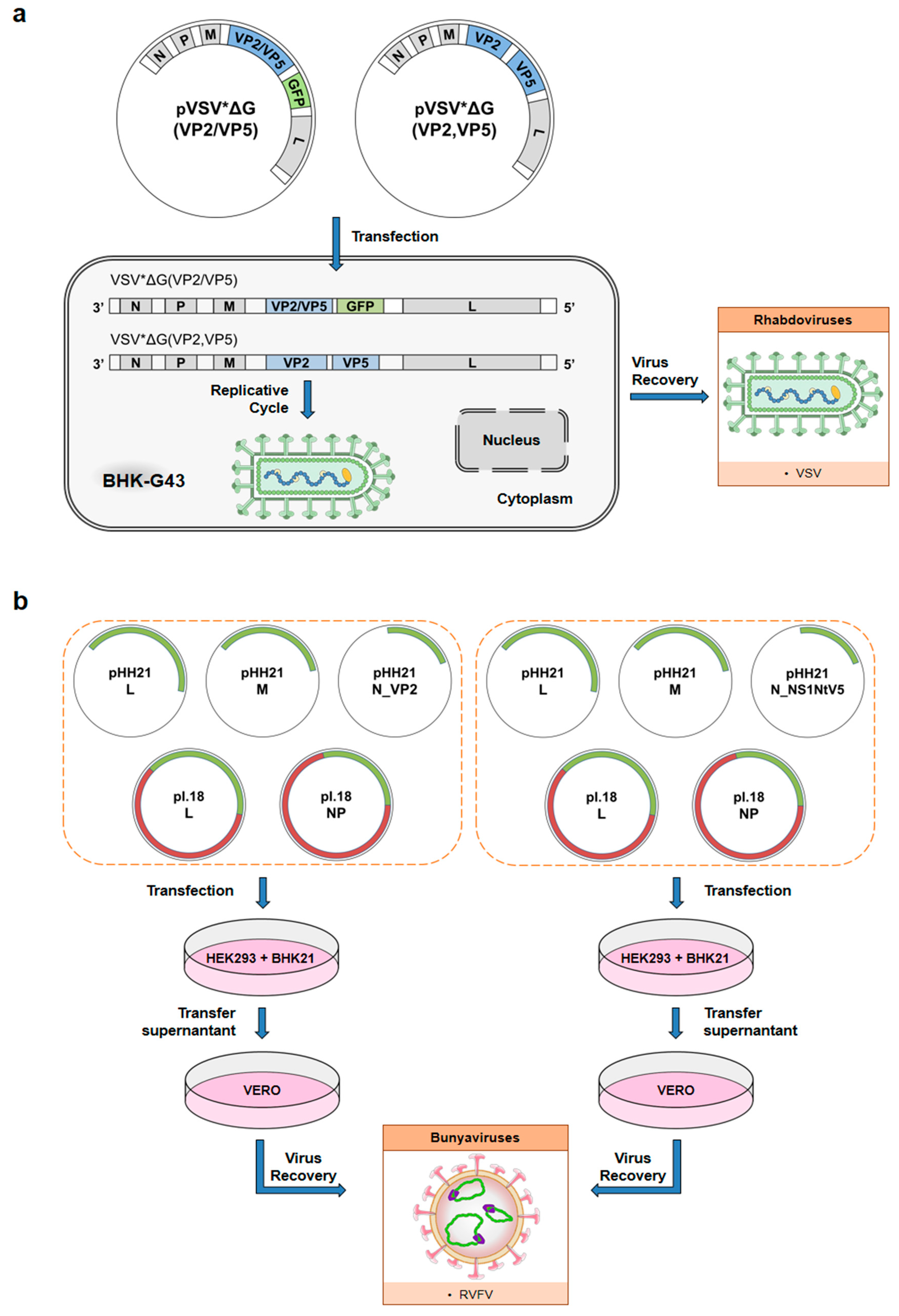 Microorganisms 09 00042 g003 Microorganisms 09 00042 g003
