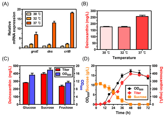 Metabolic engineering of Deinococcus radiodurans for pinene