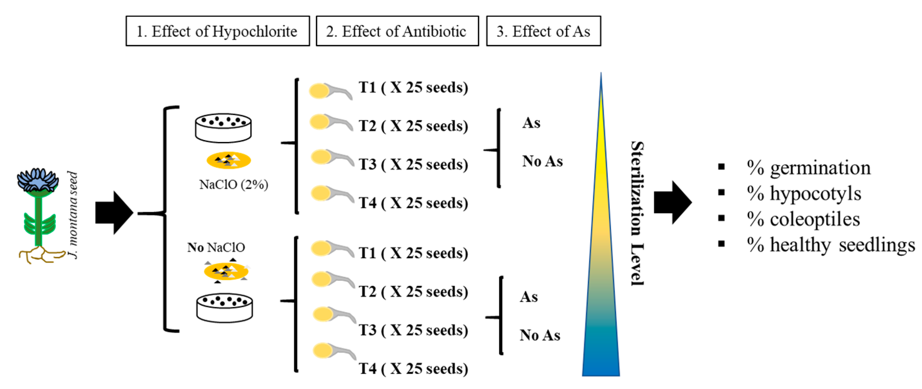 Microorganisms 09 00045 g001 Microorganisms 09 00045 g001
