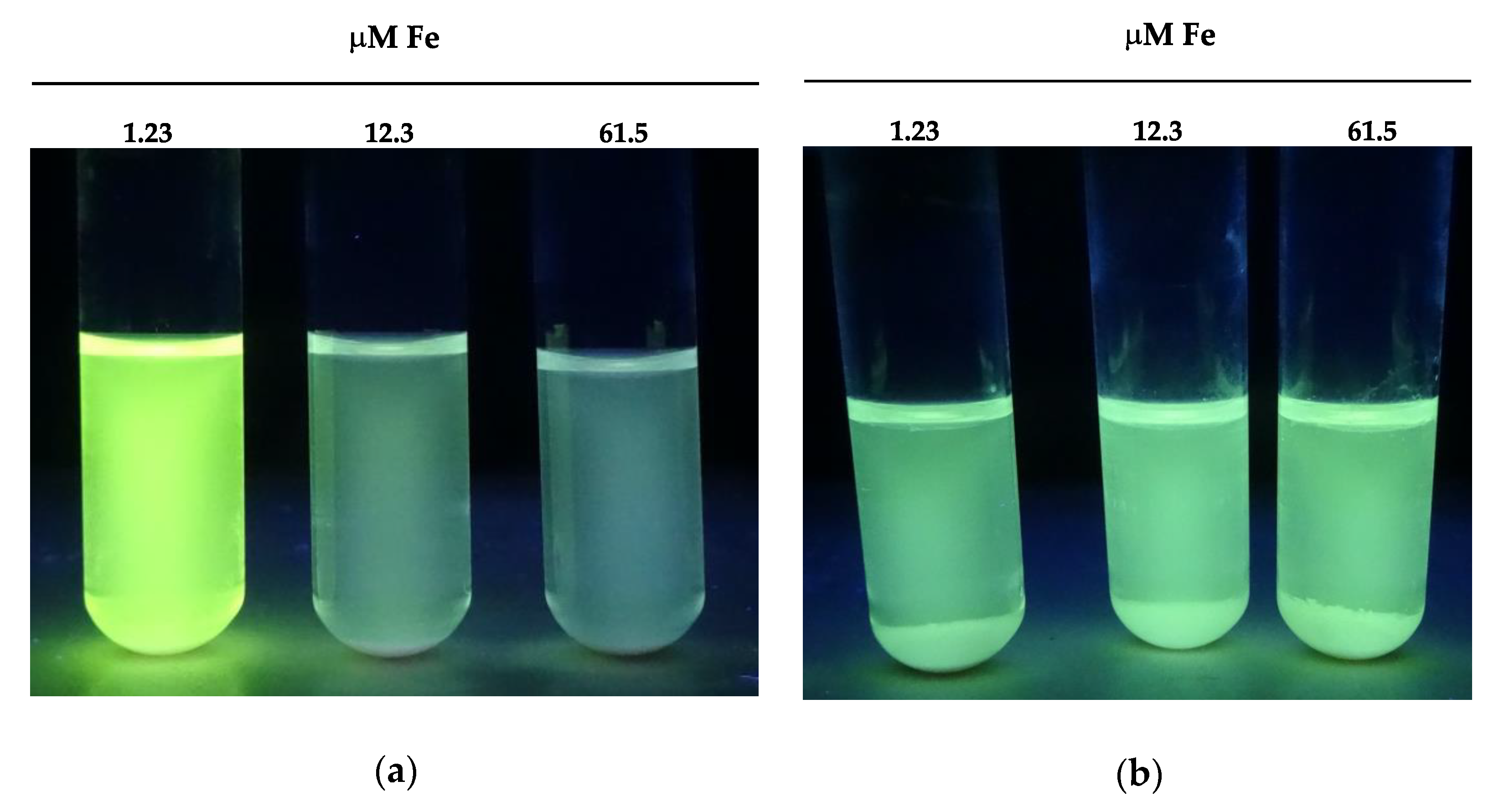 Microorganisms 09 00047 g008 Microorganisms 09 00047 g008