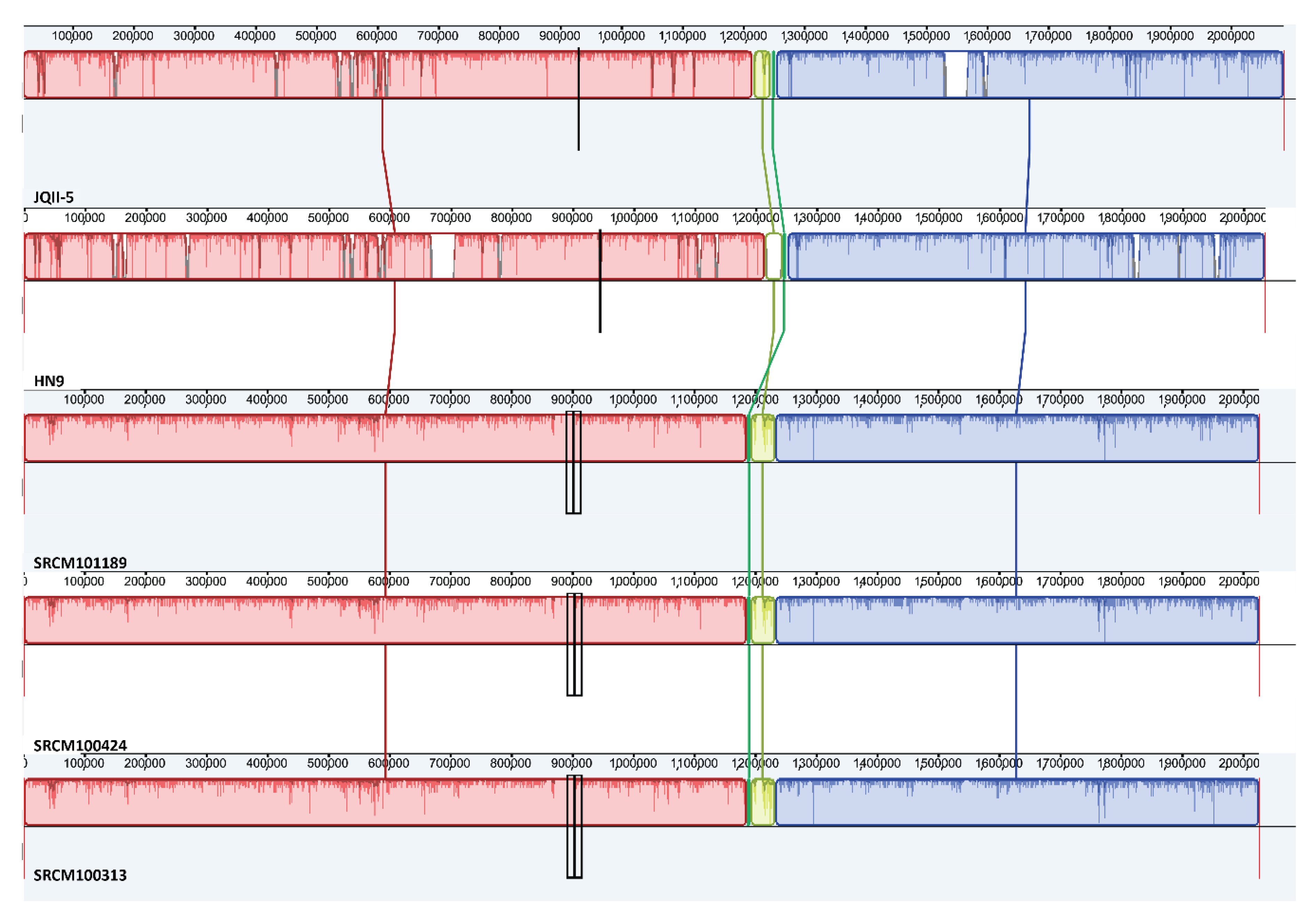 Microorganisms 09 00050 g004 Microorganisms 09 00050 g004