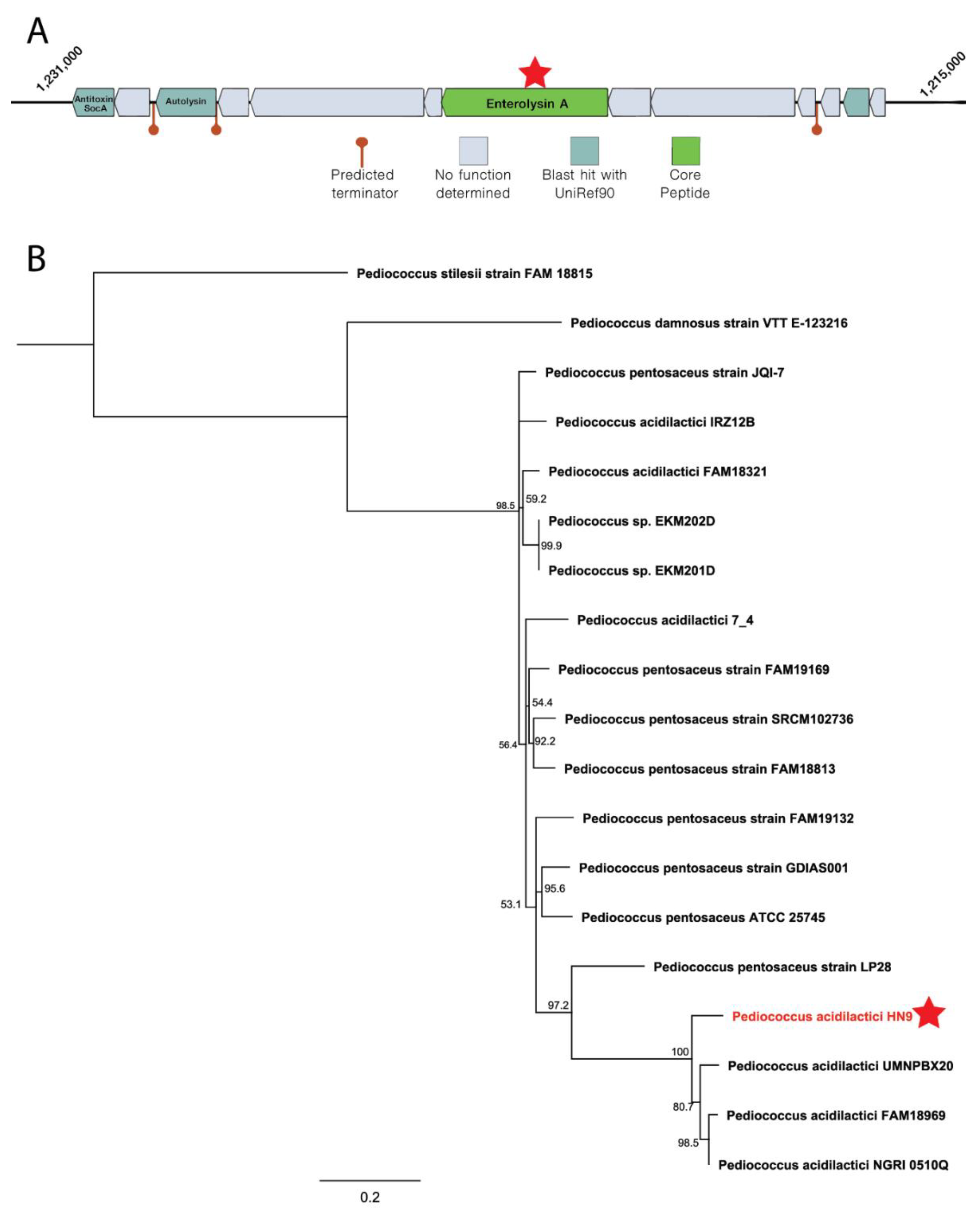 Microorganisms 09 00050 g005 Microorganisms 09 00050 g005