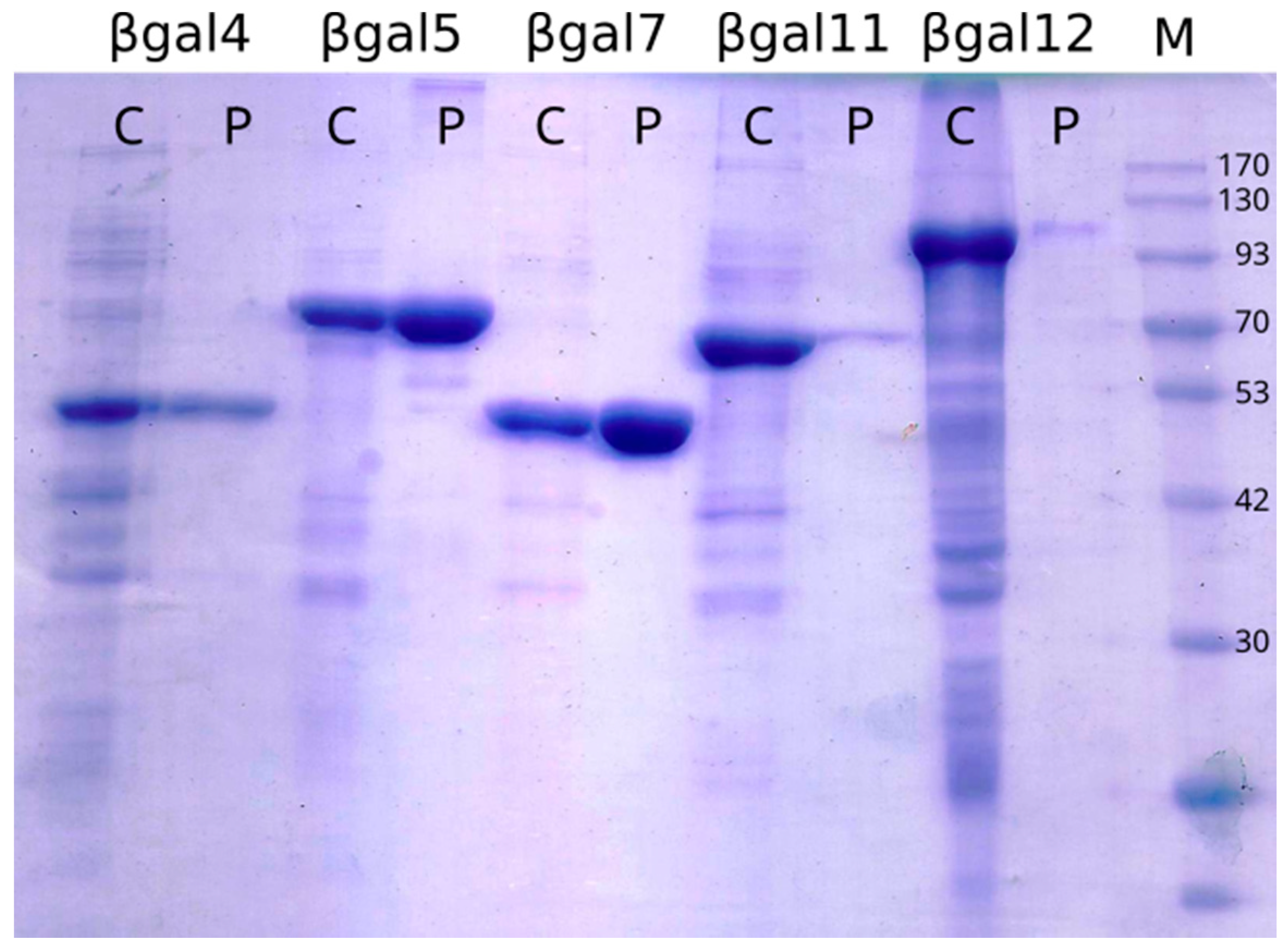 Microorganisms 09 00055 g002 Microorganisms 09 00055 g002