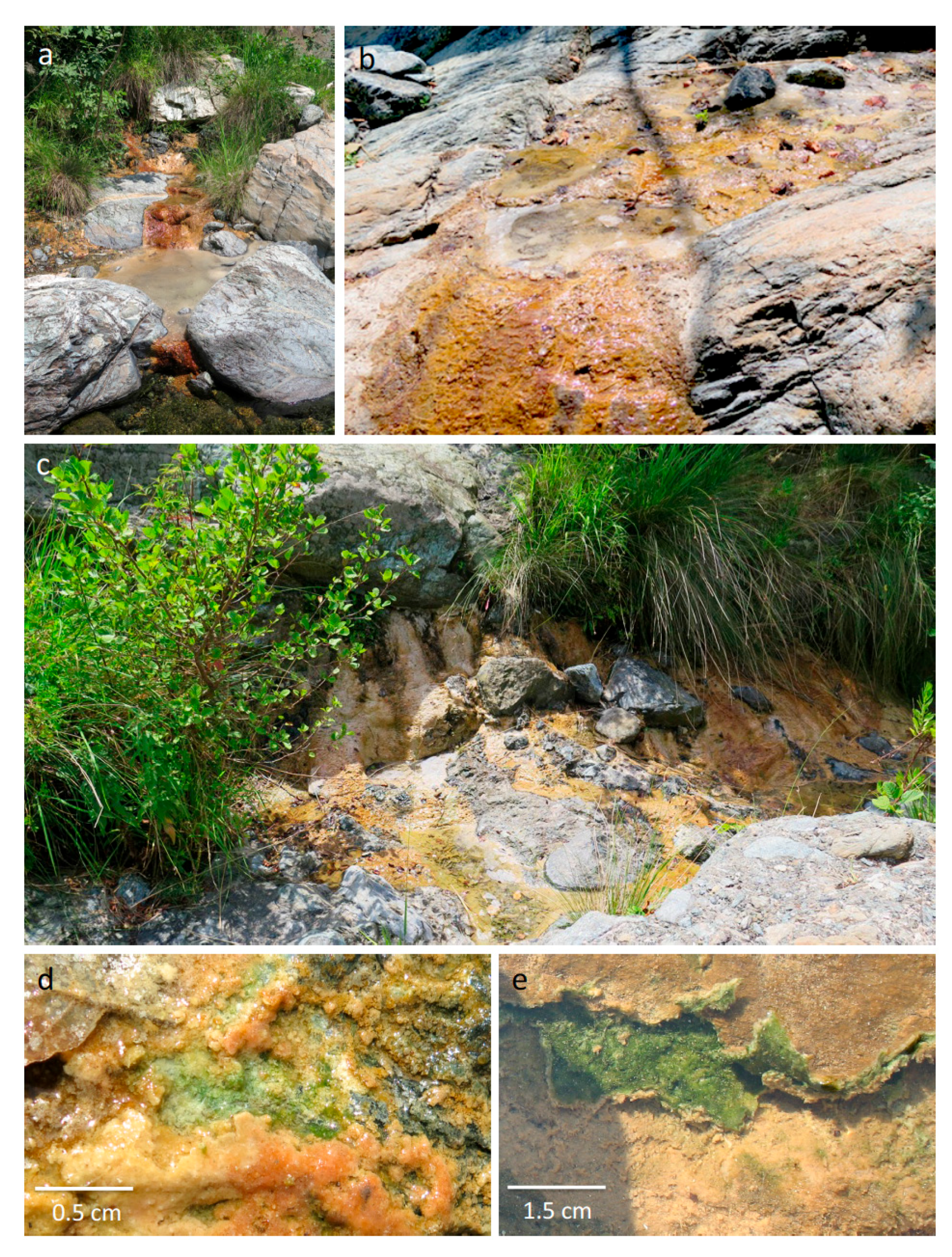 Salt lick deposit Gay bukkake pics