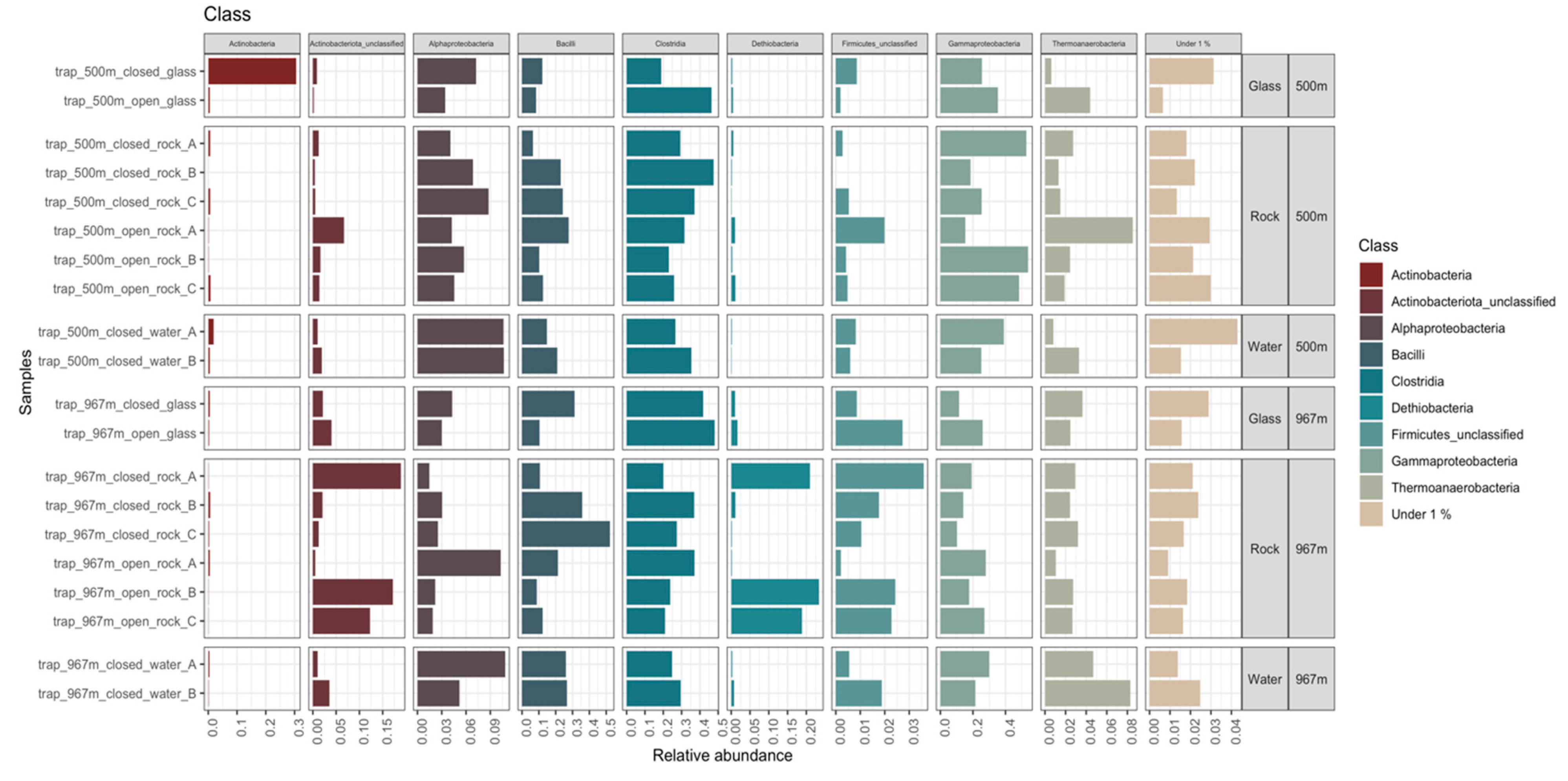 Microorganisms 09 00064 g009