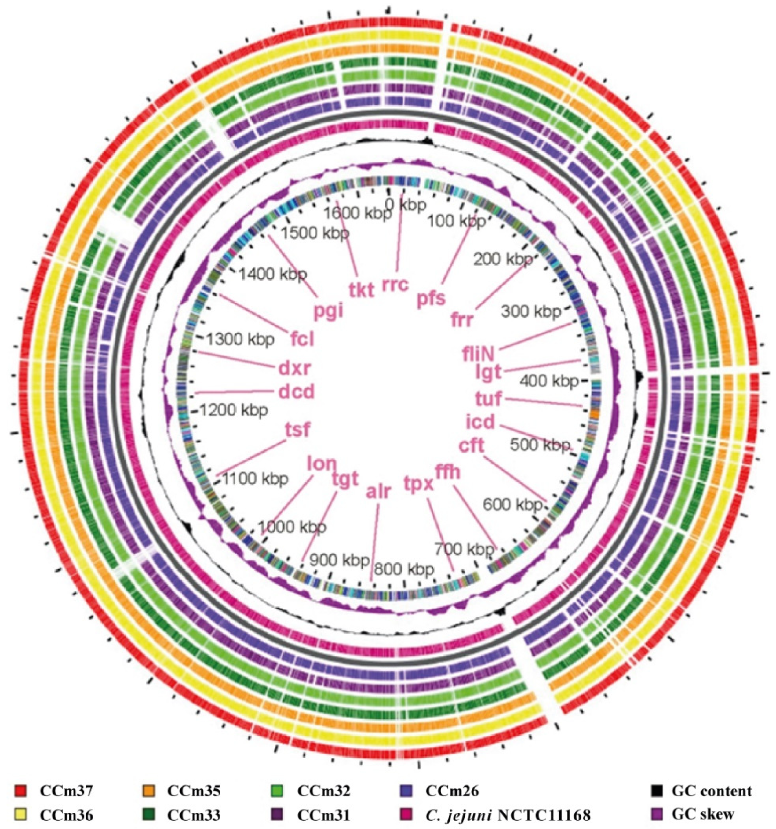 Microorganisms 09 00066 g002 Microorganisms 09 00066 g002