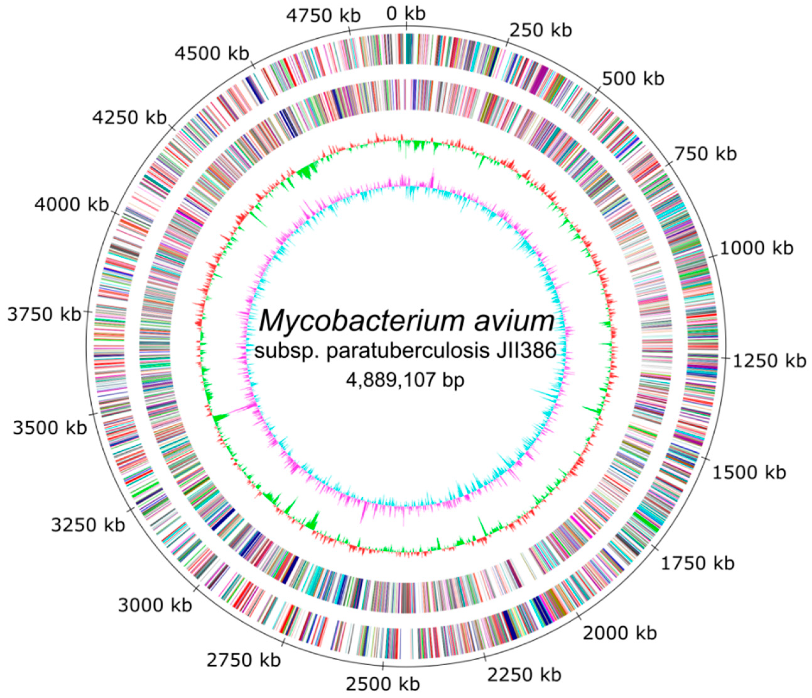Microorganisms Free Full Text Complete Genome Sequence Of Ovine Mycobacterium Avium Subsp Paratuberculosis Strain Jiii 386 Map S Type Iii And Its Comparison To Map S Type I Map C And M Avium Complex Genomes Html Microorganisms Free Full Text Complete Genome Sequence Of Ovine Mycobacterium Avium Subsp Paratuberculosis Strain Jiii 386 Map S Type Iii And Its Comparison To Map S Type I Map C And M Avium Complex Genomes Html