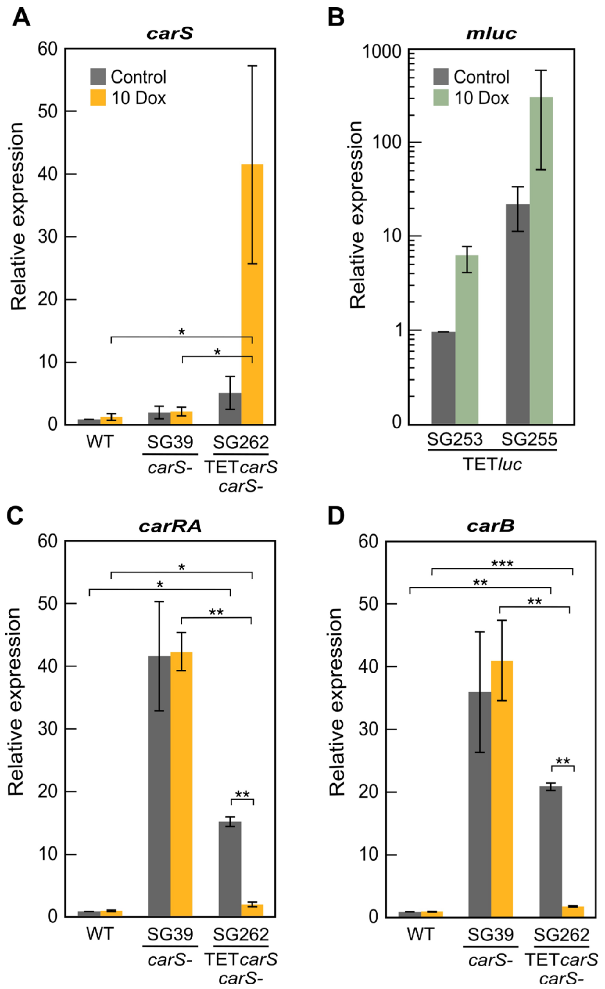 Microorganisms 09 00071 g006