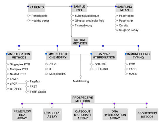 Microorganisms 09 00072 g001 550