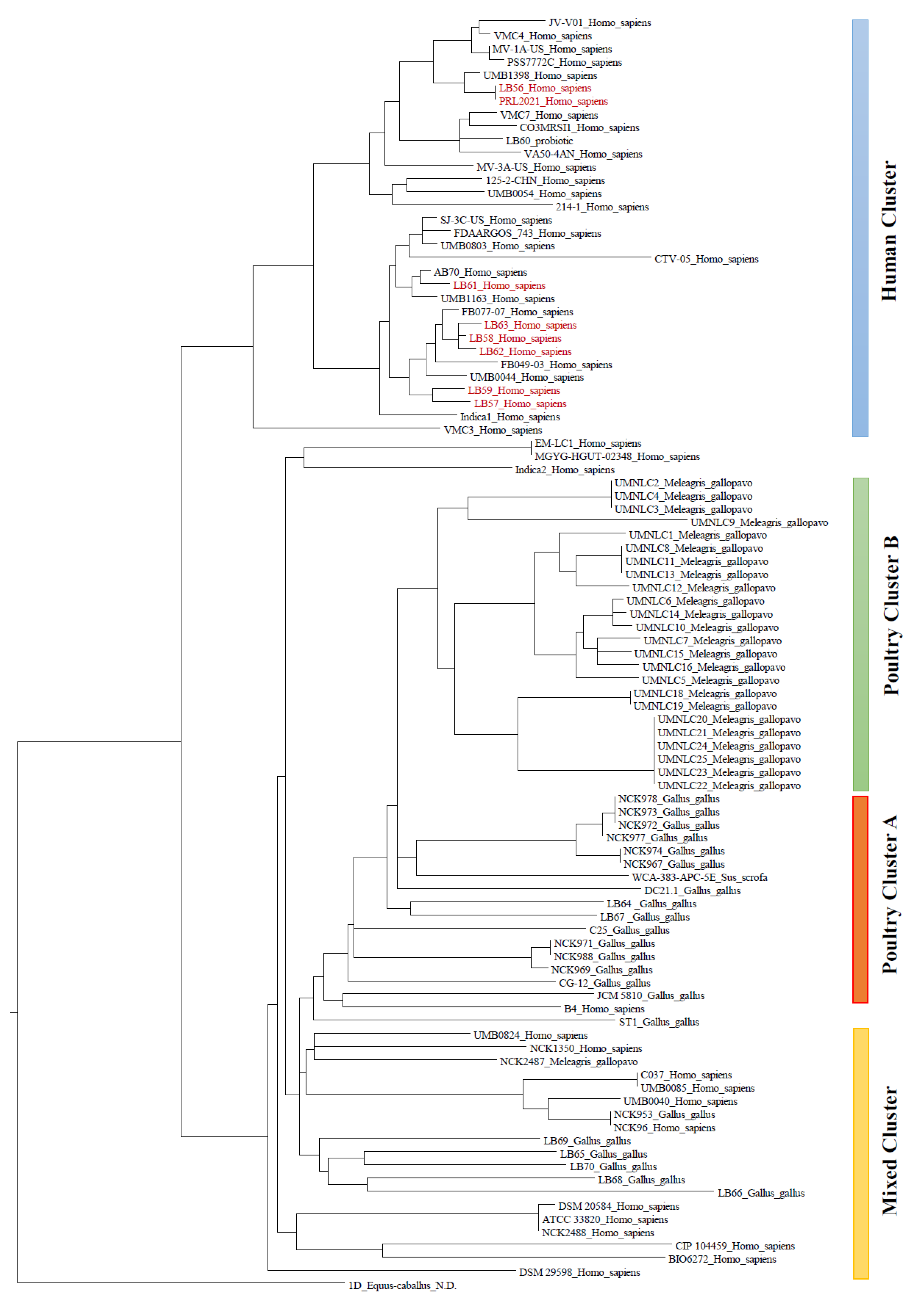 Microorganisms 09 00073 g002