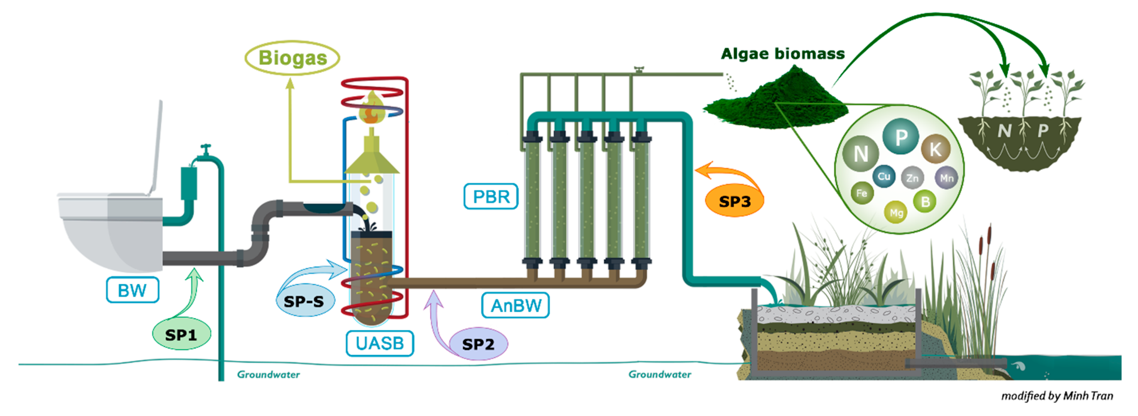 Microorganisms 09 00075 g001