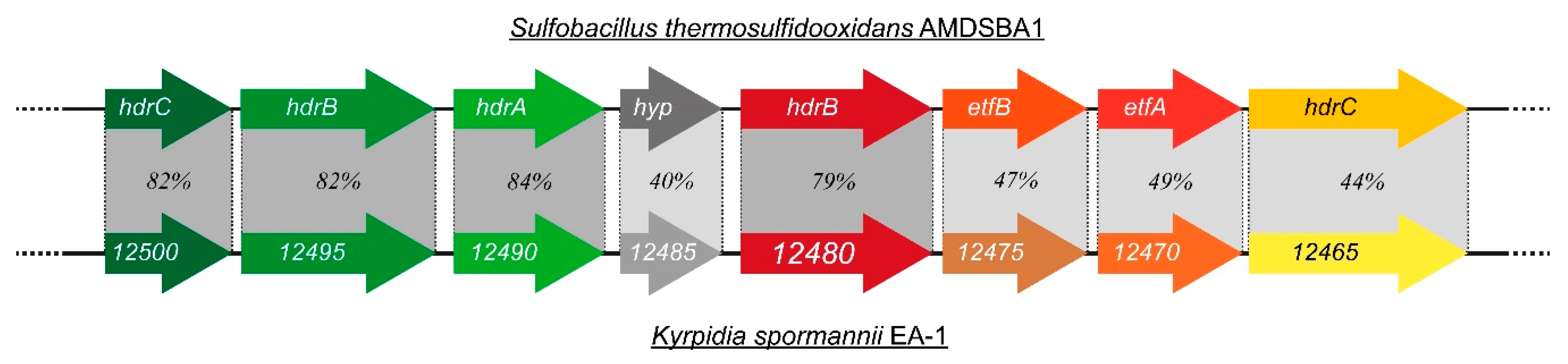 Microorganisms 09 00077 g005