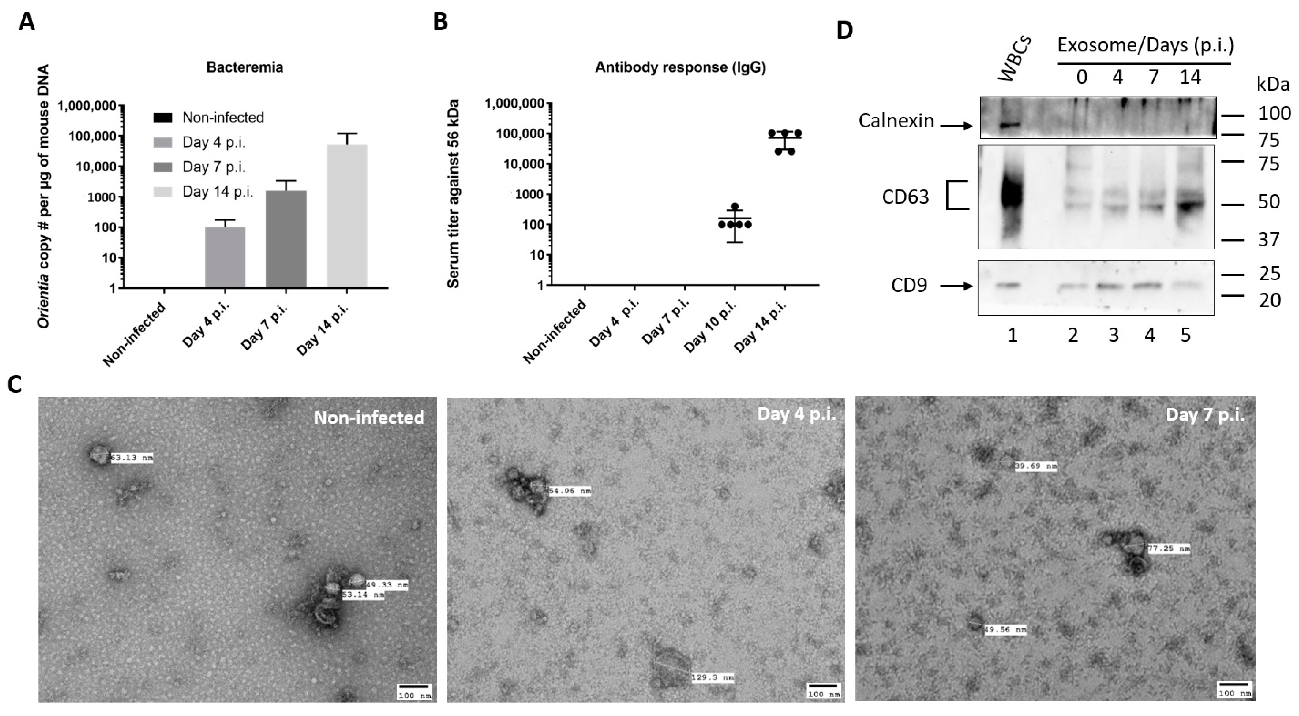 Microorganisms 09 00080 g001 Microorganisms 09 00080 g001