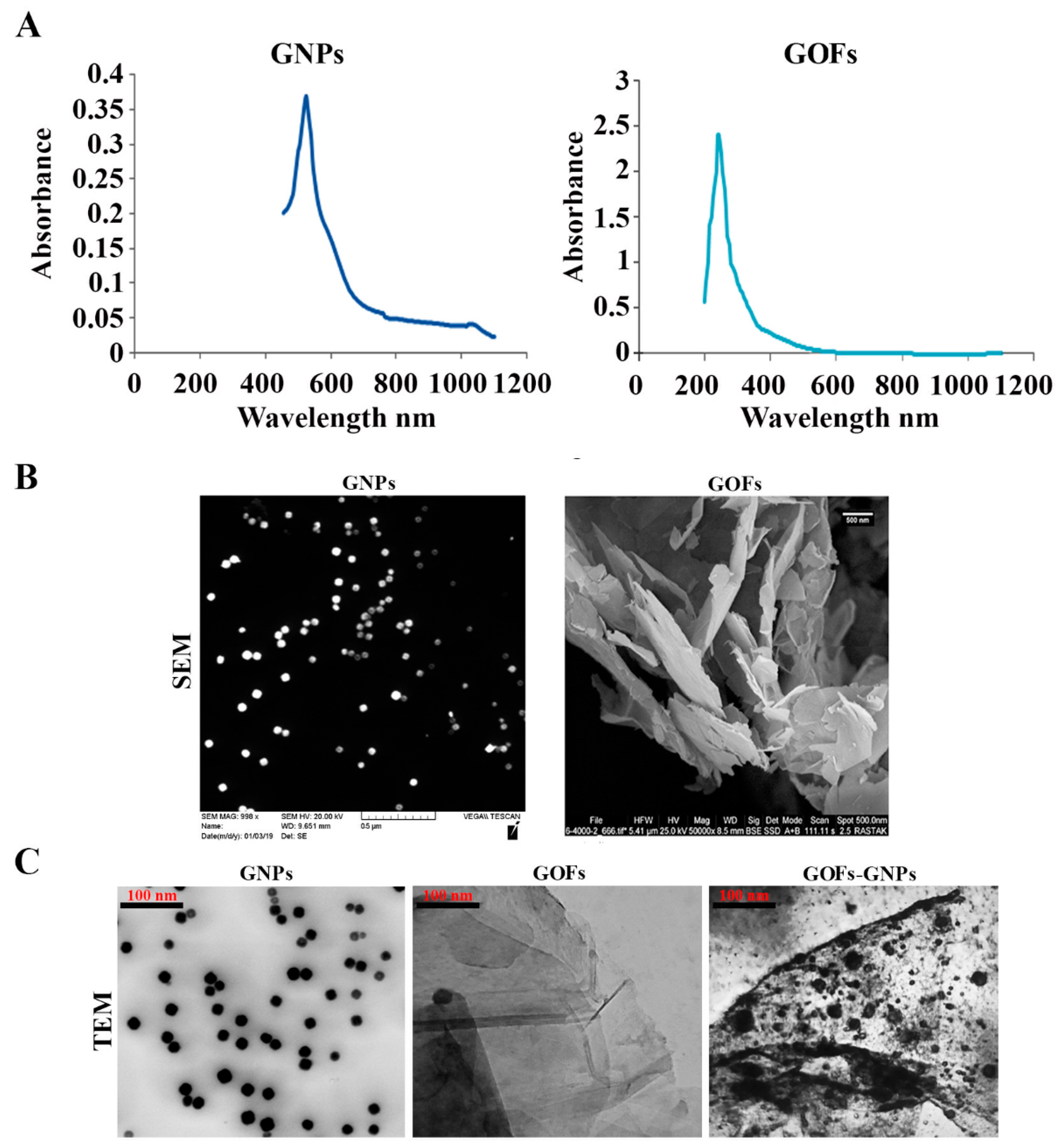 Microorganisms 09 00101 g001 Microorganisms 09 00101 g001