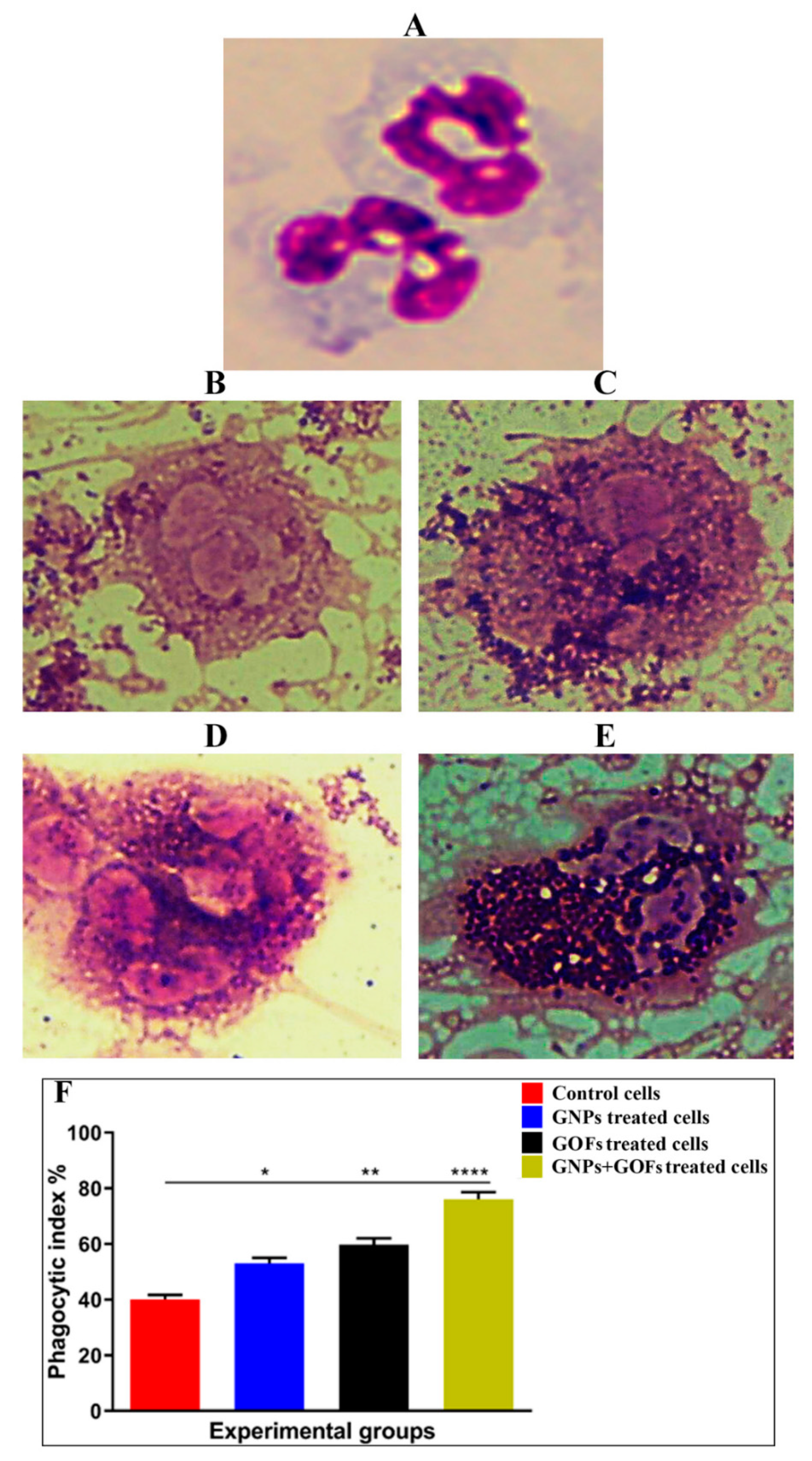 Microorganisms 09 00101 g002 Microorganisms 09 00101 g002
