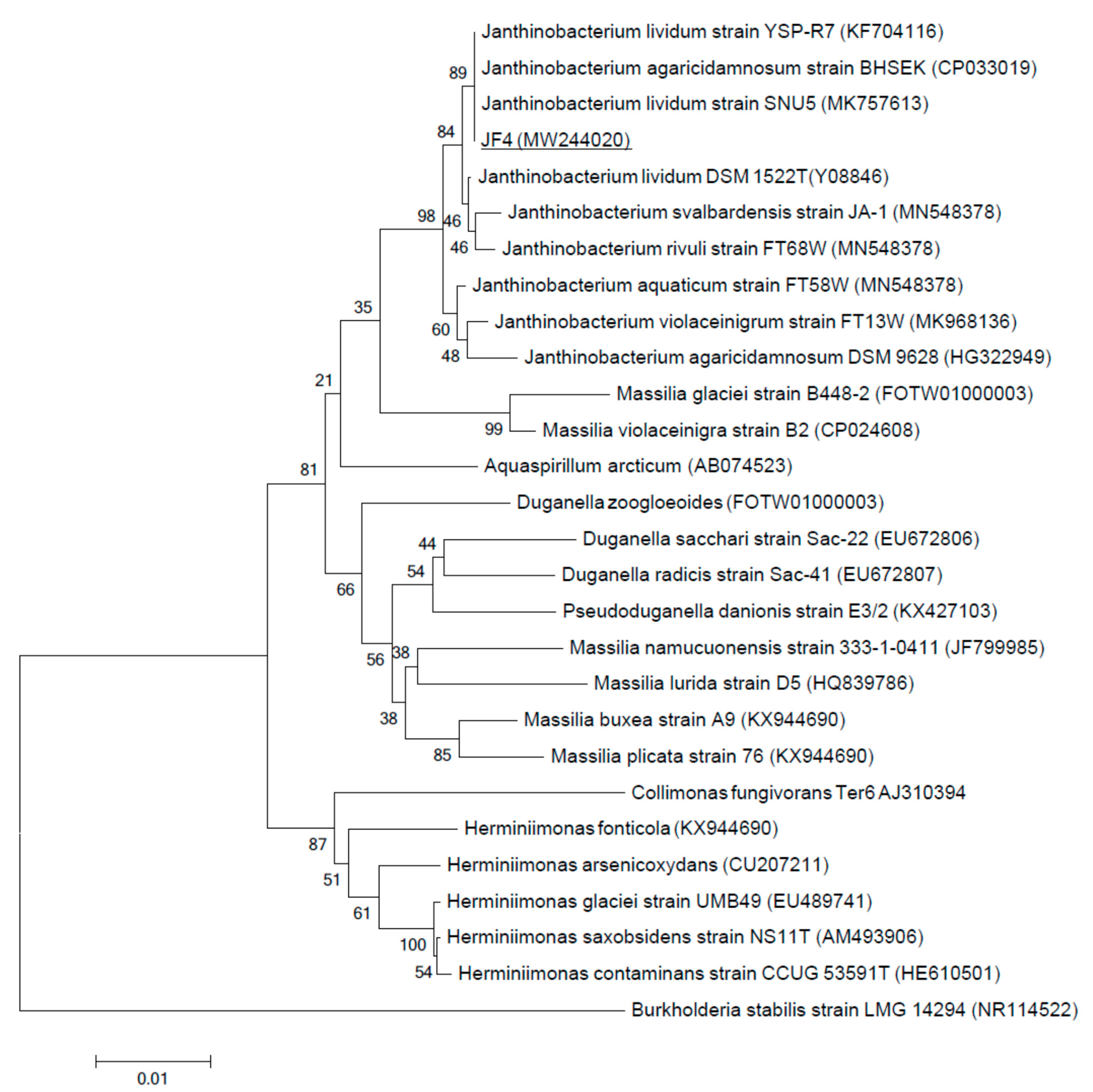 Microorganisms 09 00102 g006 Microorganisms 09 00102 g006