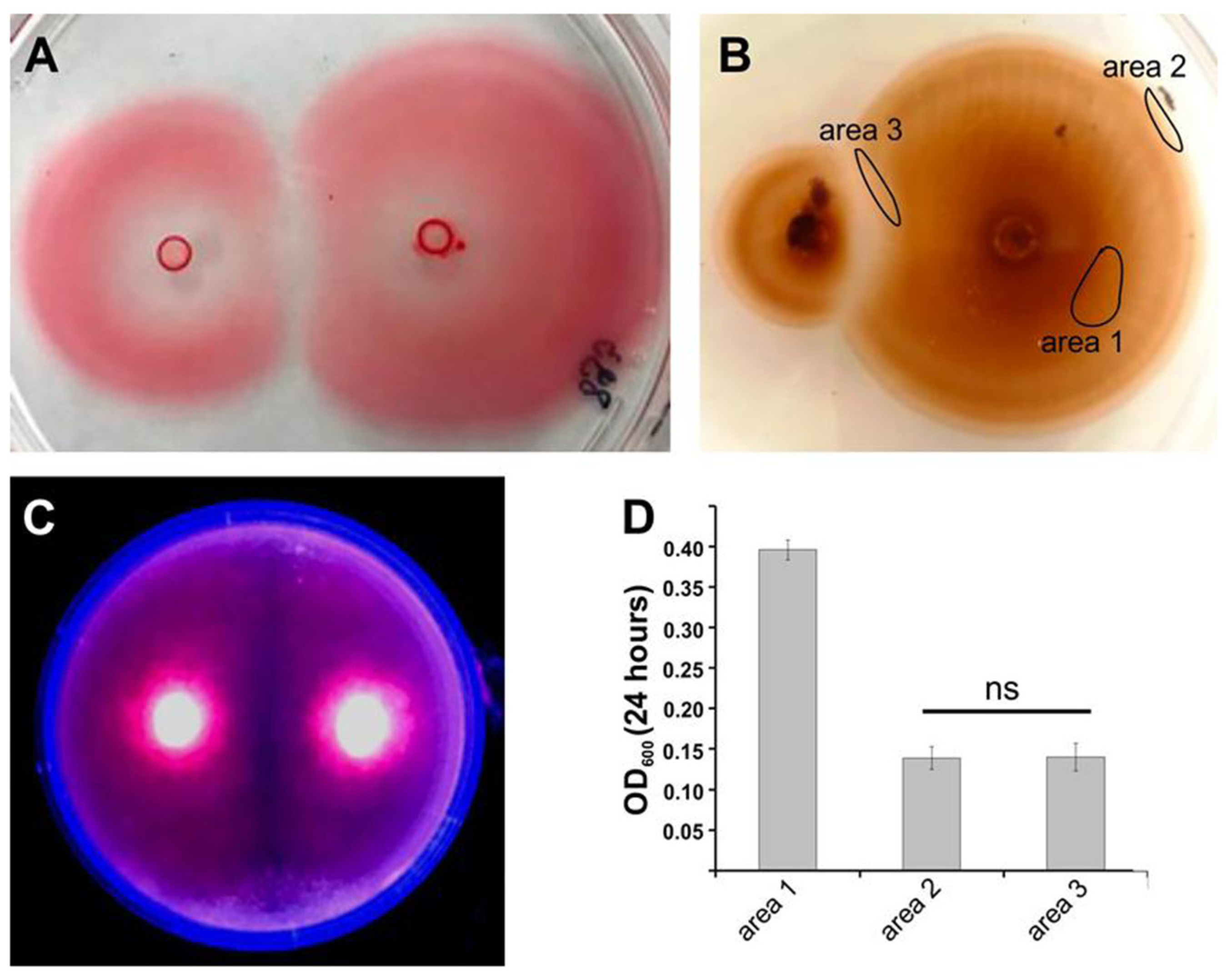 Microorganisms 09 00103 g002