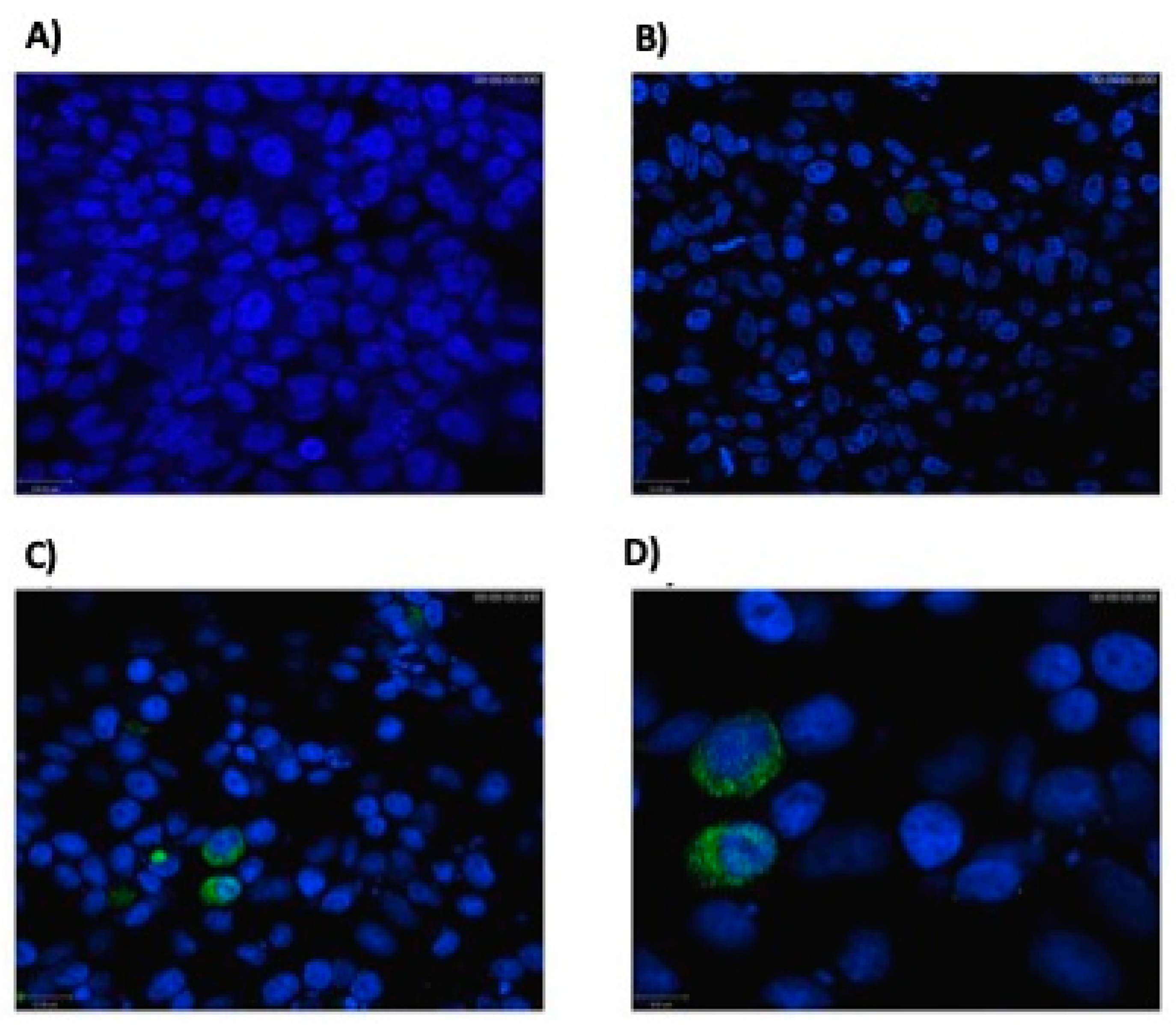 Microorganisms 09 00107 g001 Microorganisms 09 00107 g001
