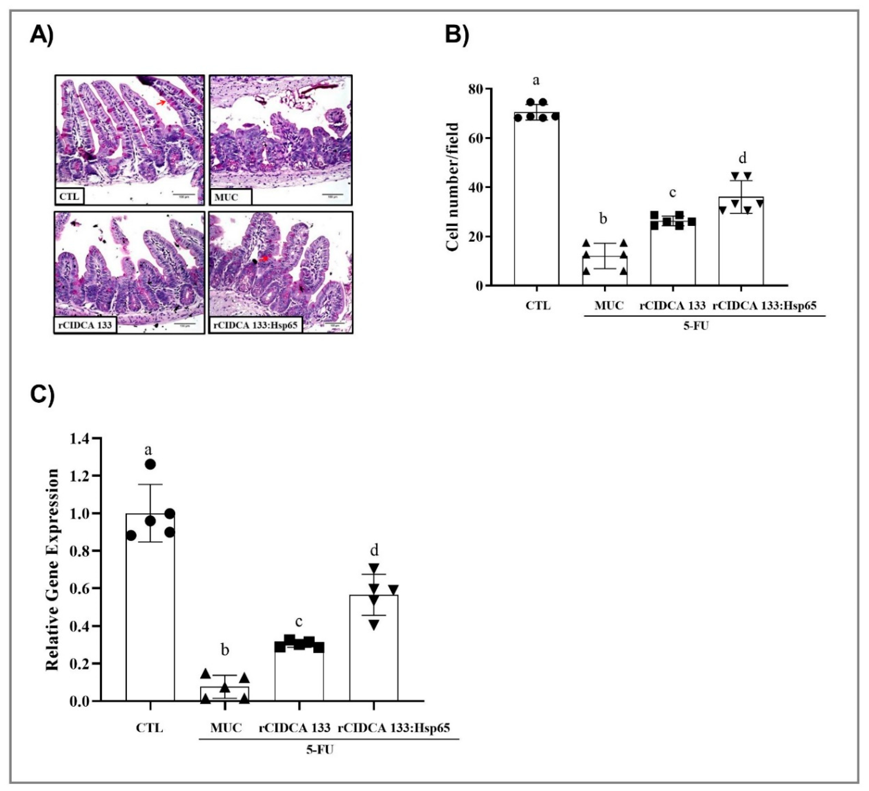 Microorganisms 09 00107 g005 Microorganisms 09 00107 g005