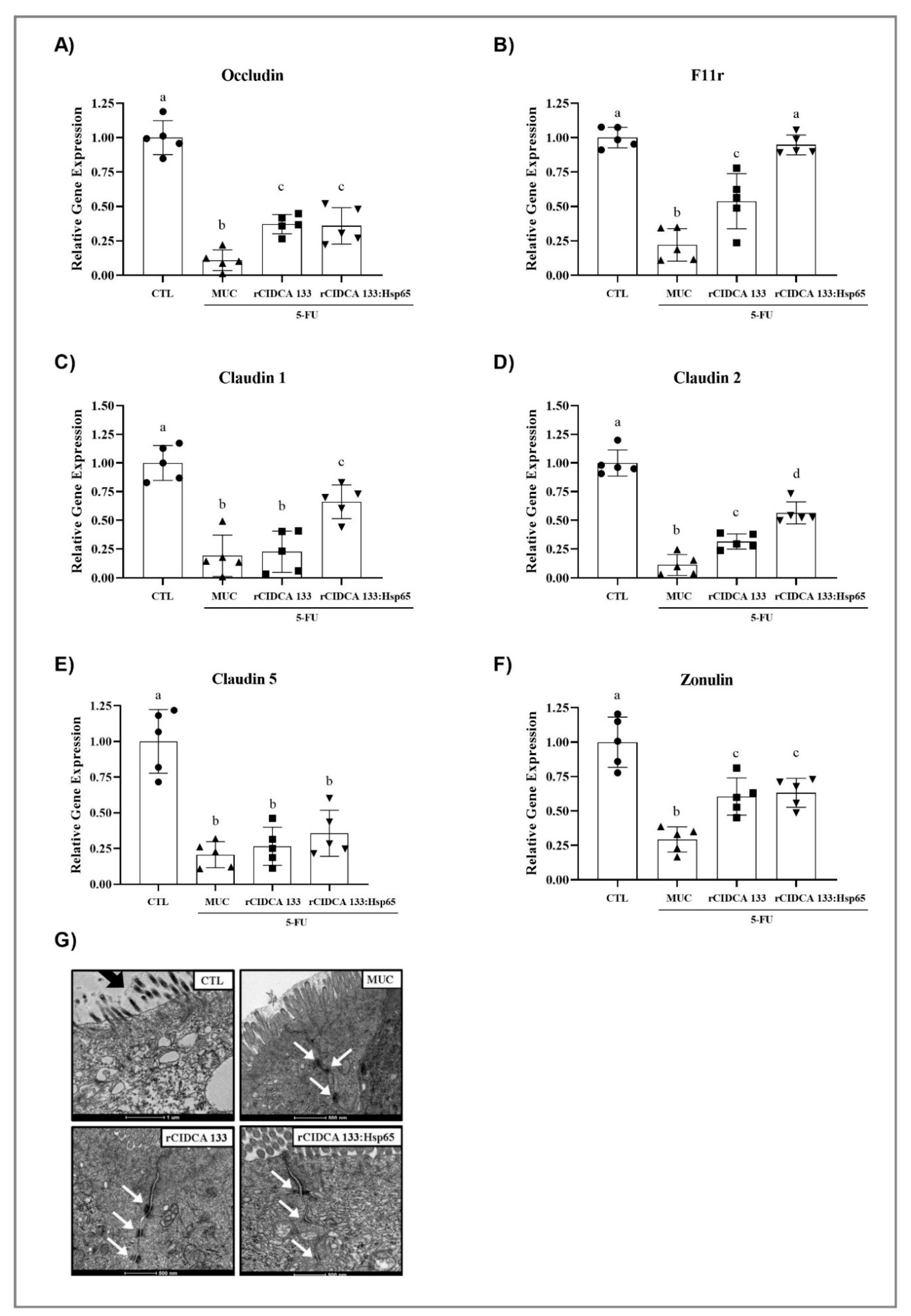 Microorganisms Free Full Text Intake Of Lactobacillus Delbrueckii Pexu Hsp65 Prevents The Inflammation And The Disorganization Of The Intestinal Mucosa In A Mouse Model Of Mucositis Html Microorganisms Free Full Text Intake Of Lactobacillus Delbrueckii Pexu Hsp65 Prevents The Inflammation And The Disorganization Of The Intestinal Mucosa In A Mouse Model Of Mucositis Html