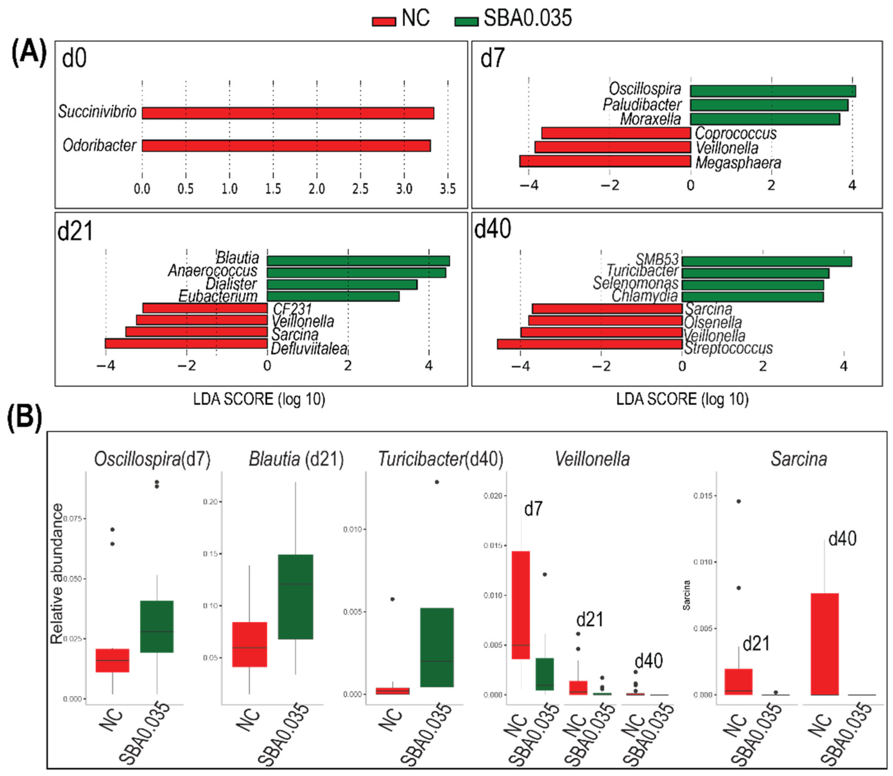 Microorganisms 09 00110 g007