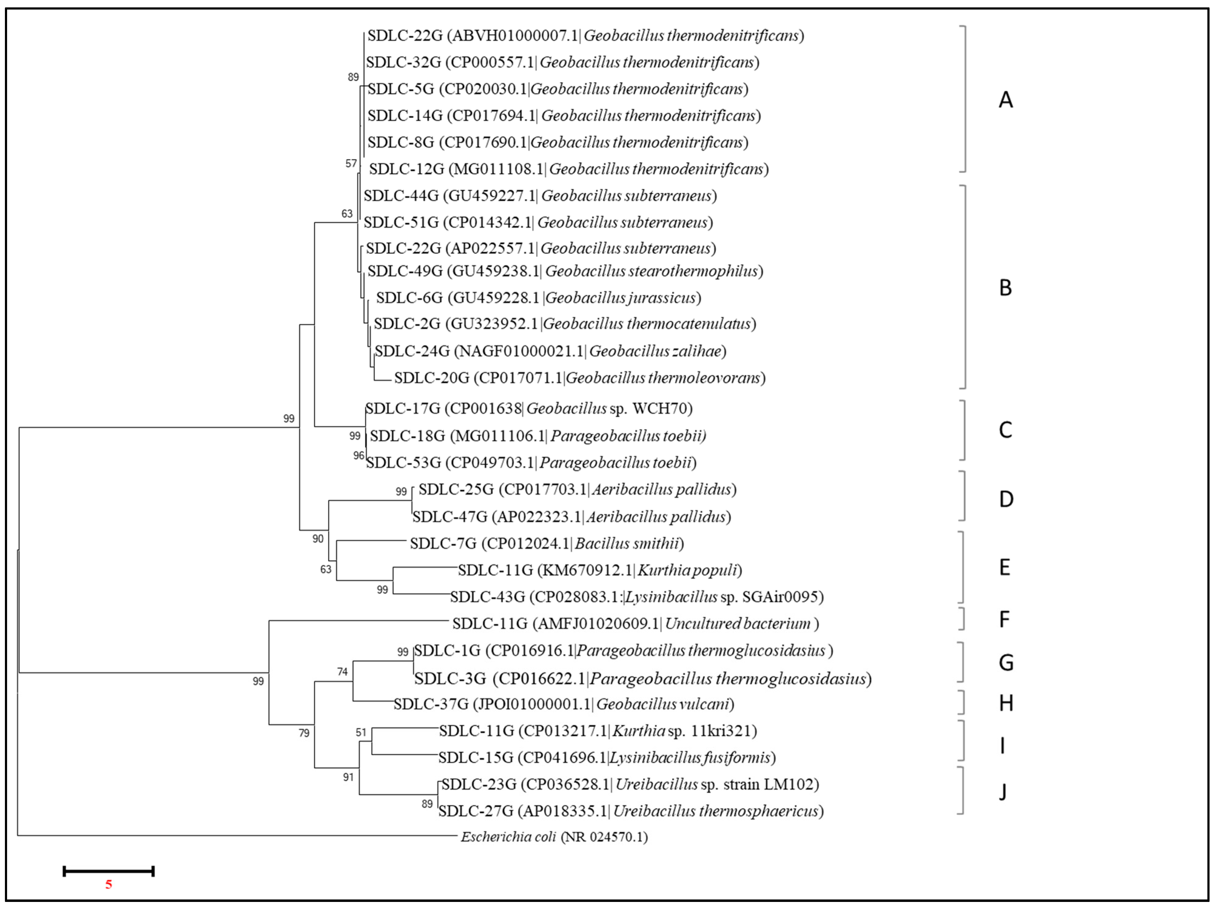 Microorganisms 09 00113 g007