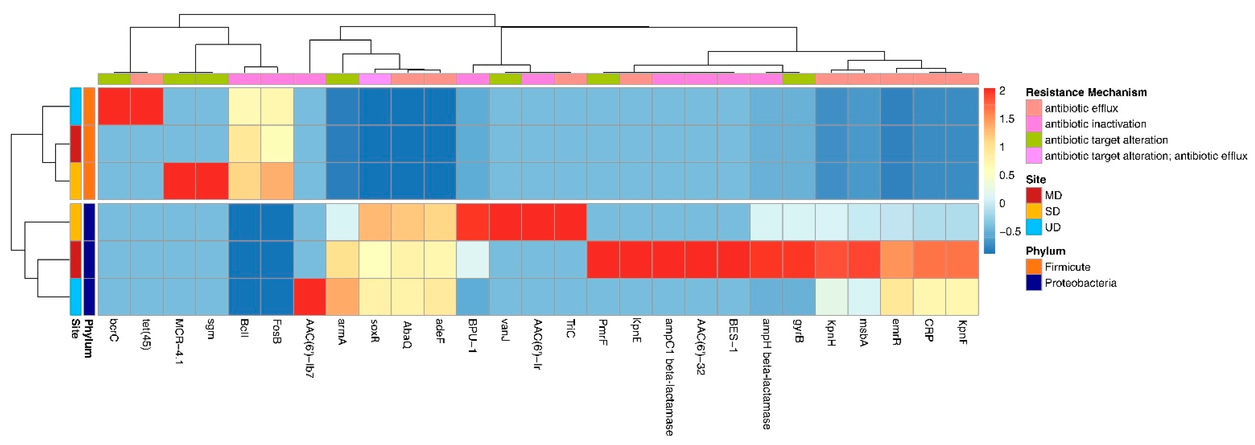 Microorganisms 09 00116 g005