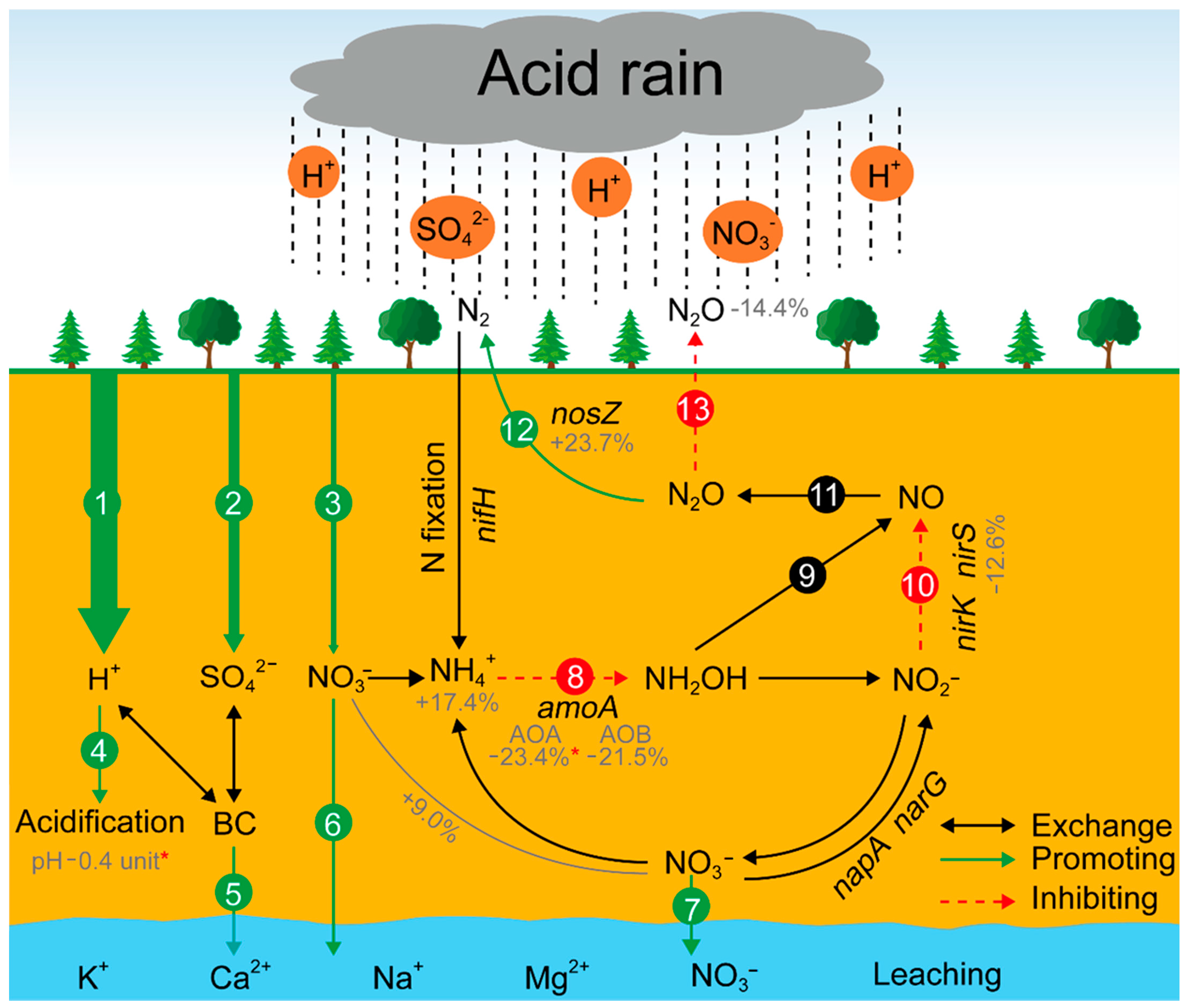 Acid Rain Infographic Diagram Showing Formation Cycle Of This Harmful  Effect To Our Environment Rain With Factors That Cause It Environmental  Concept For Science Ecology Education Royalty Free SVG, Cliparts, Vectors,  and