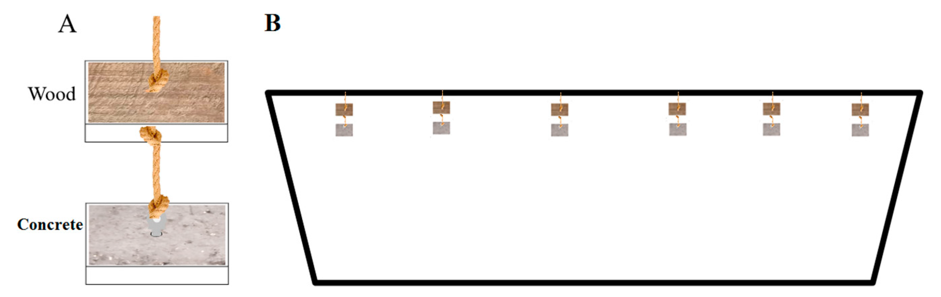 Microorganisms 09 00120 g001 Microorganisms 09 00120 g001