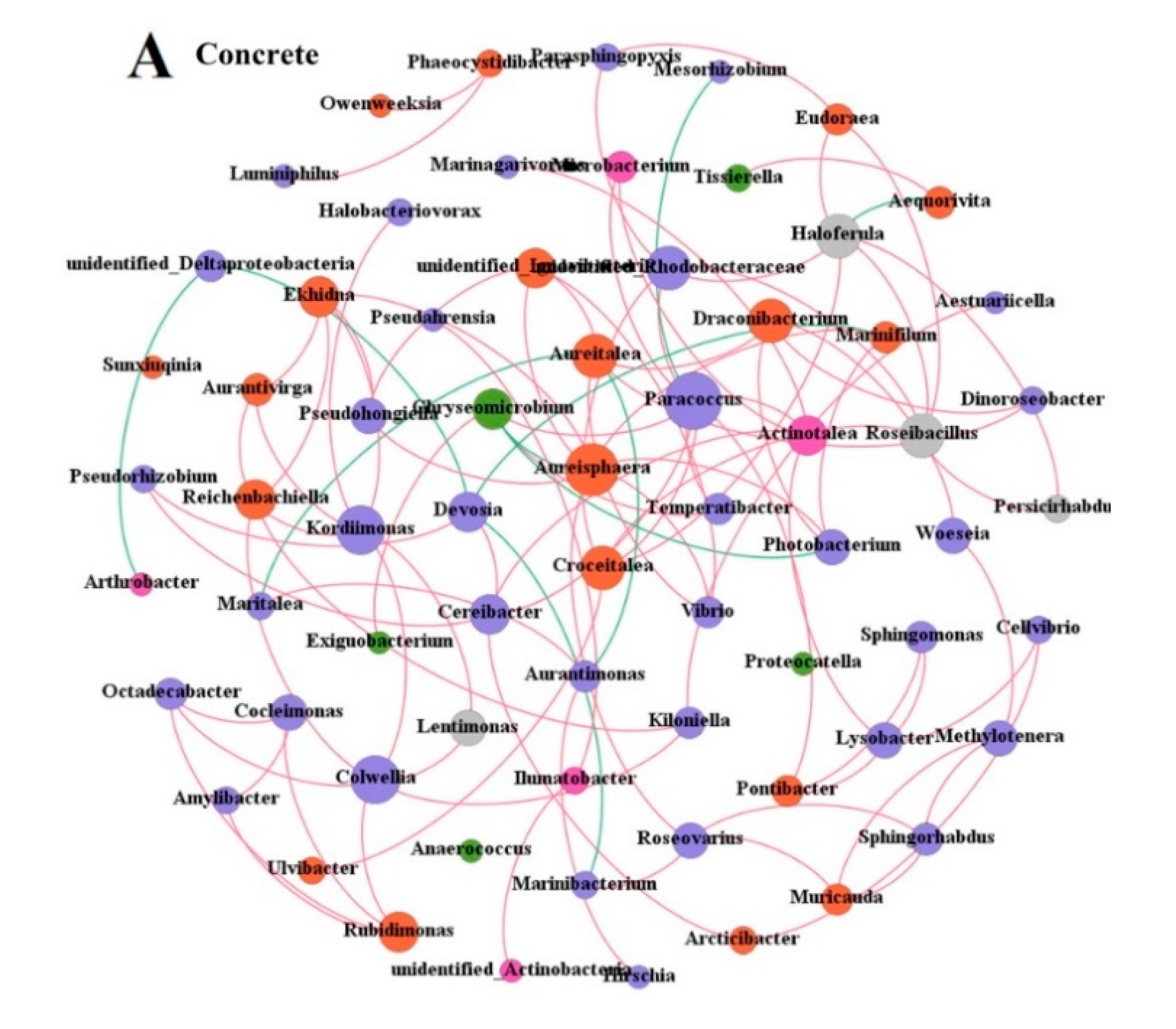 Microorganisms 09 00120 g005a Microorganisms 09 00120 g005a